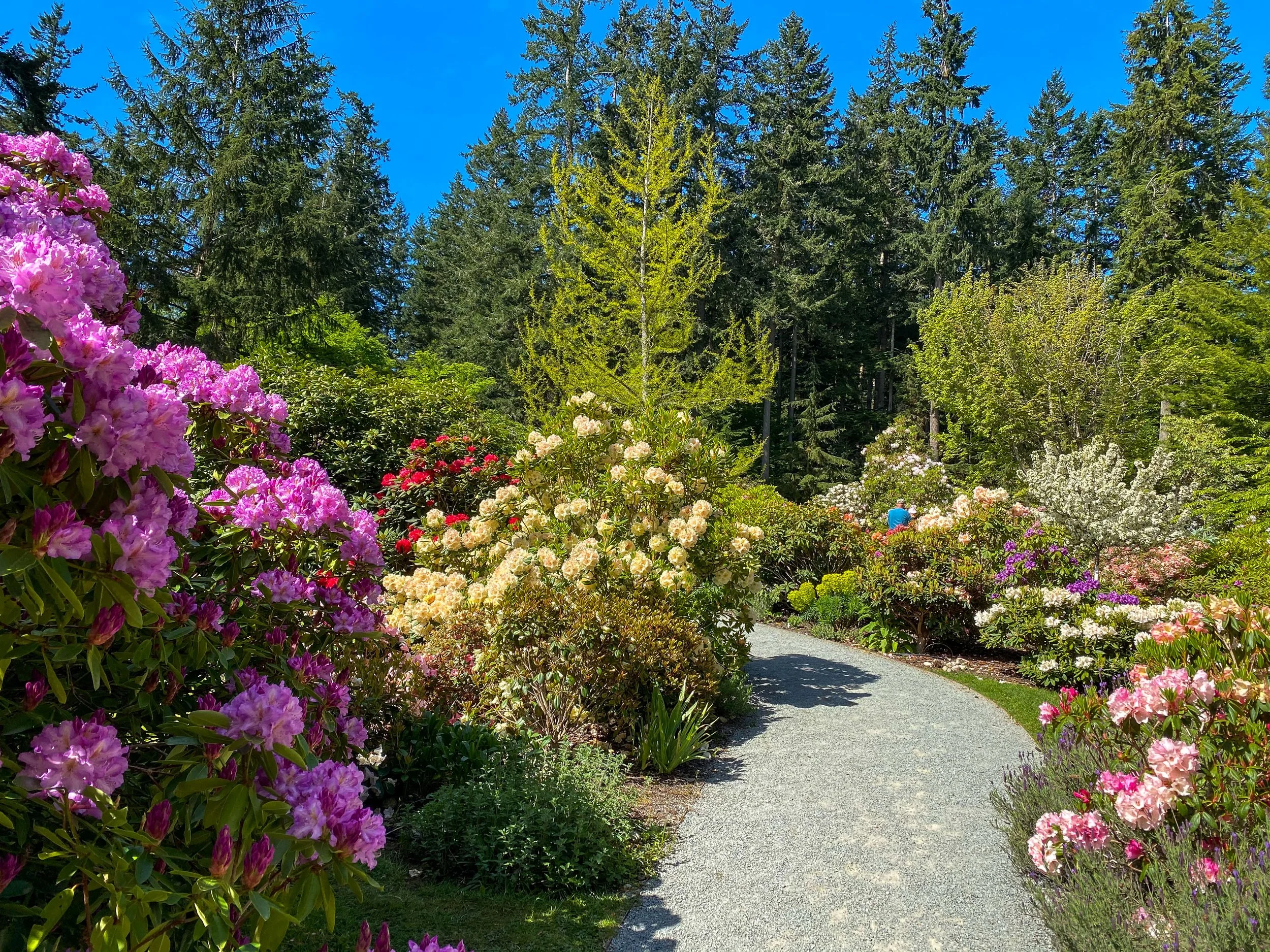 Three Trails to Try in Spring on Whidbey and Camano Islands