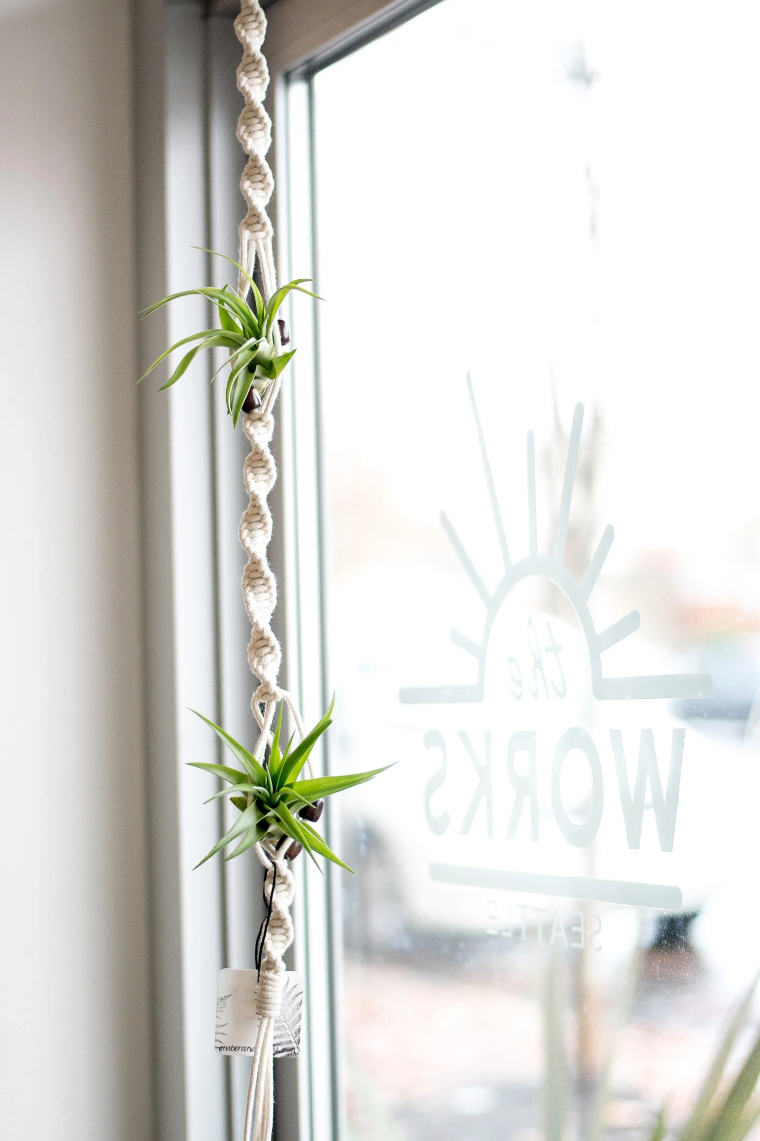 Macrame in the Window at The Works Seattle.jpg