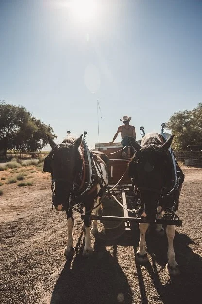 Wagon Ride.jpg
