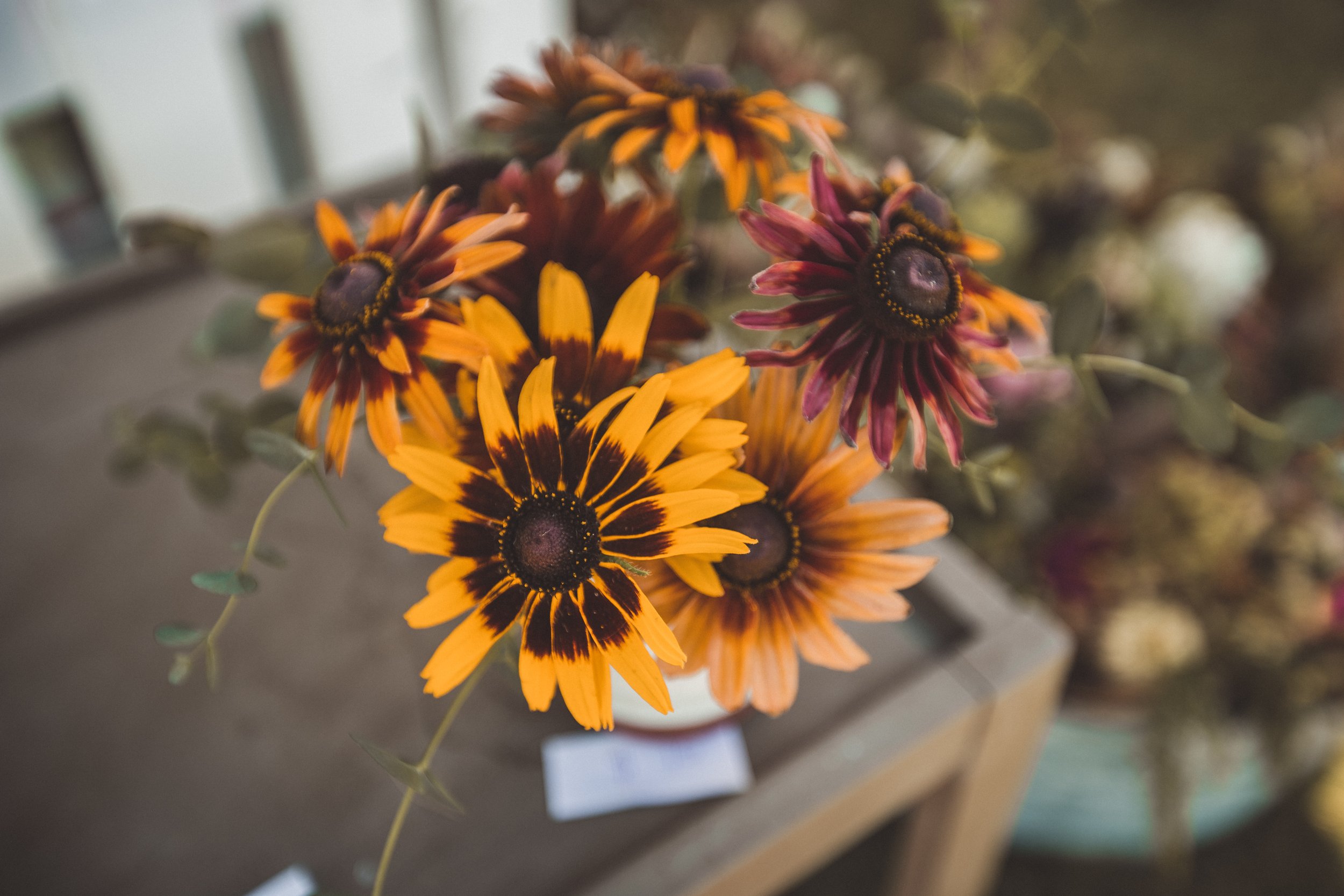 Women-Owned Businesses to Support in Washington Wine Country 