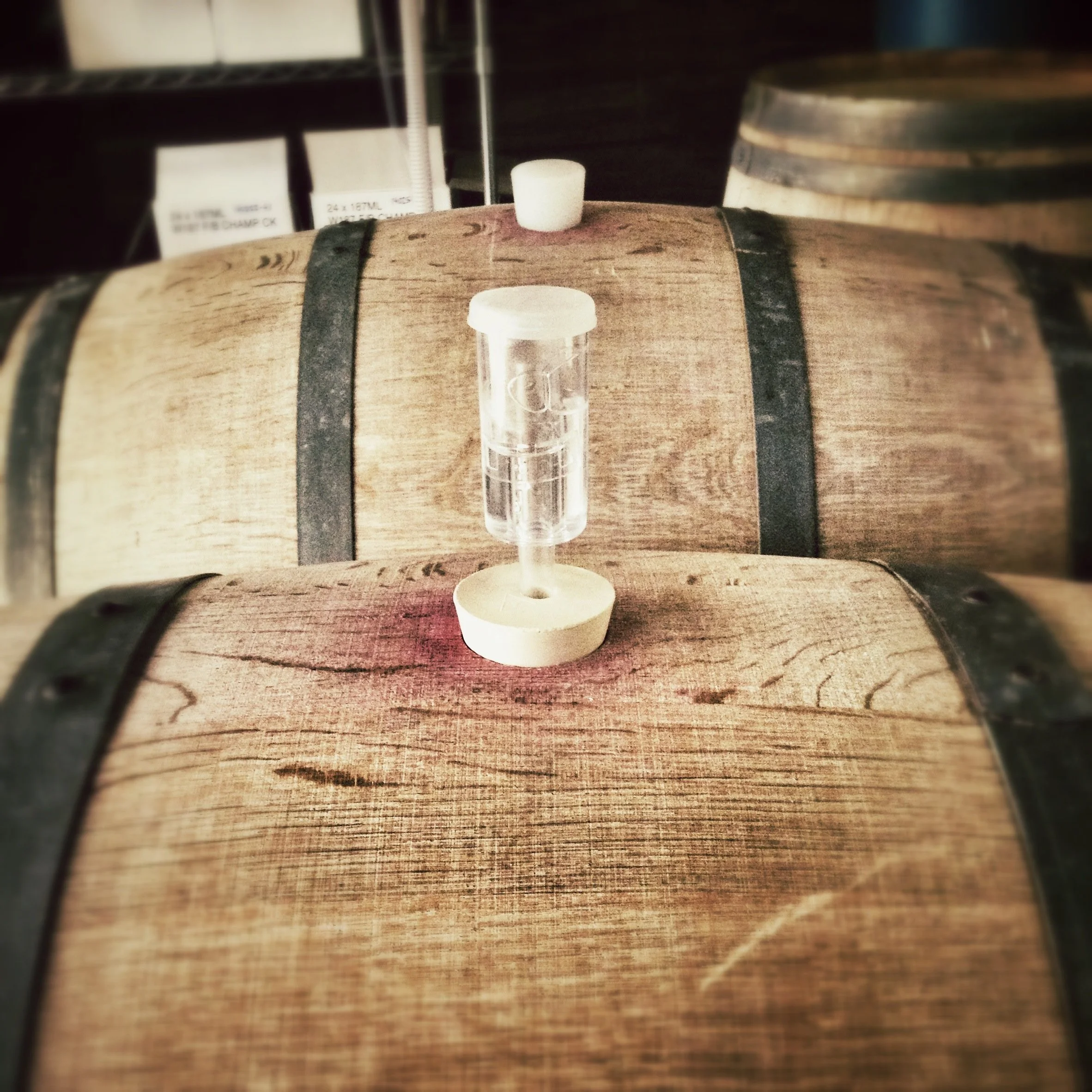 wine making