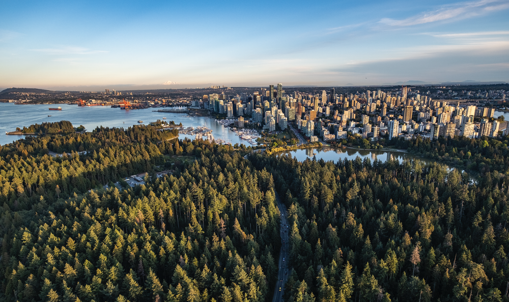 Aerial view of a city skyline near a large body of water, with a dense forest in the foreground and a few ships in the water.