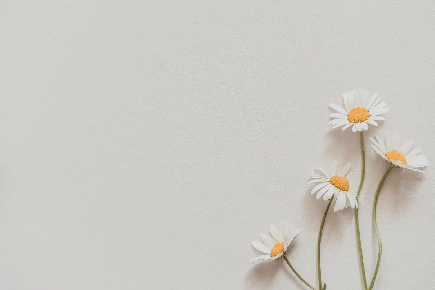 Minimalismo e saúde: menos coisas, menos stress?