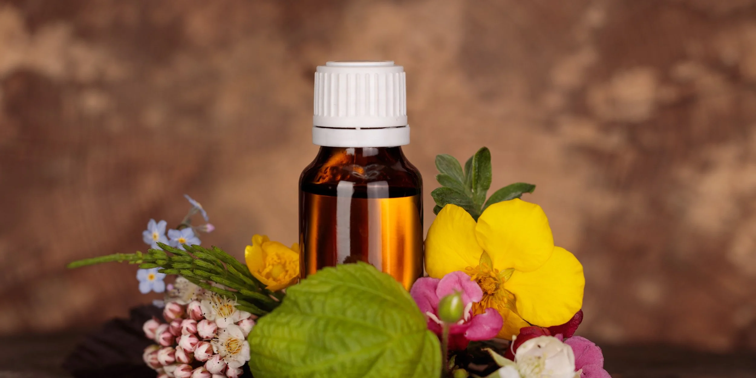 Florais de Bach: o Regresso ao Equilíbrio Emocional com a Ajuda da Natureza