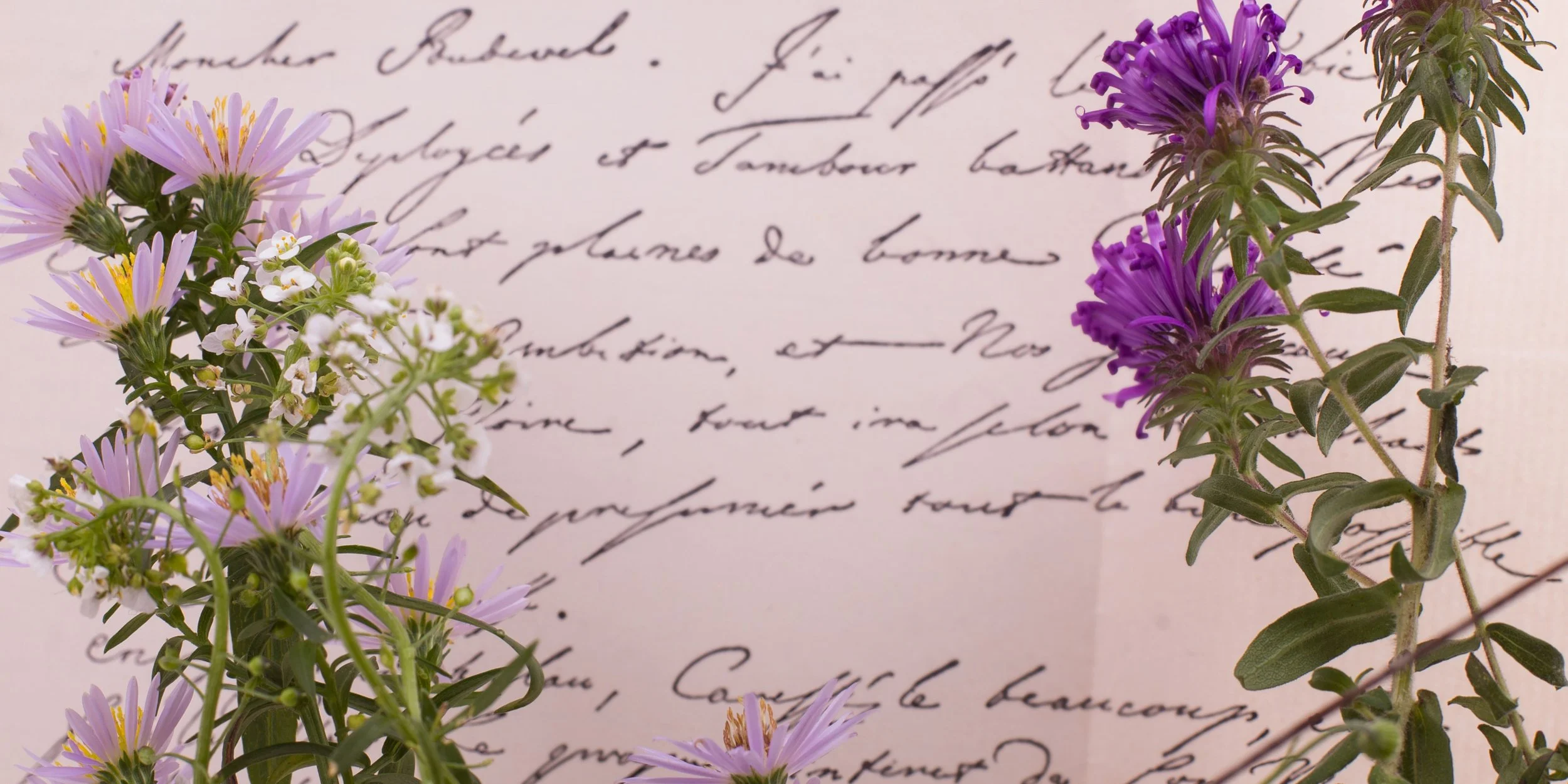 As Flores de Bach e a Ciência: Como Funciona a Terapia Vibracional?