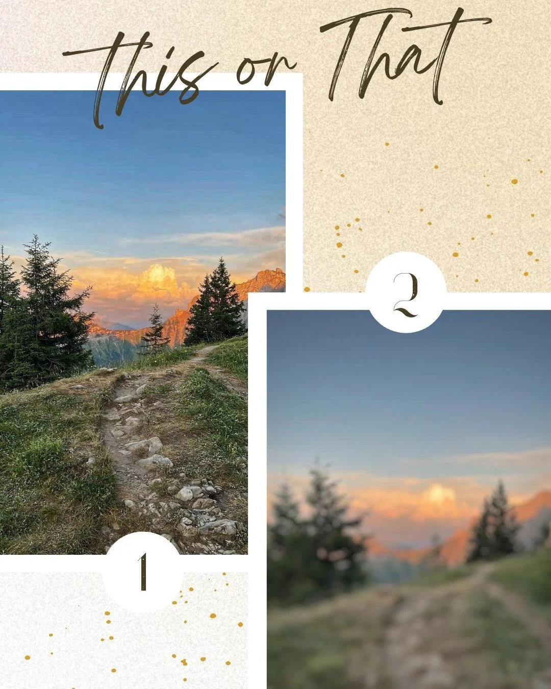 Valley Vision is your one-stop shop for clear vision and healthy eyes 👀🌲

We dedicate a full hour to every exam, because you deserve our undivided attention. We take the time to truly listen, understand your needs, and create care that&rsquo;s tail