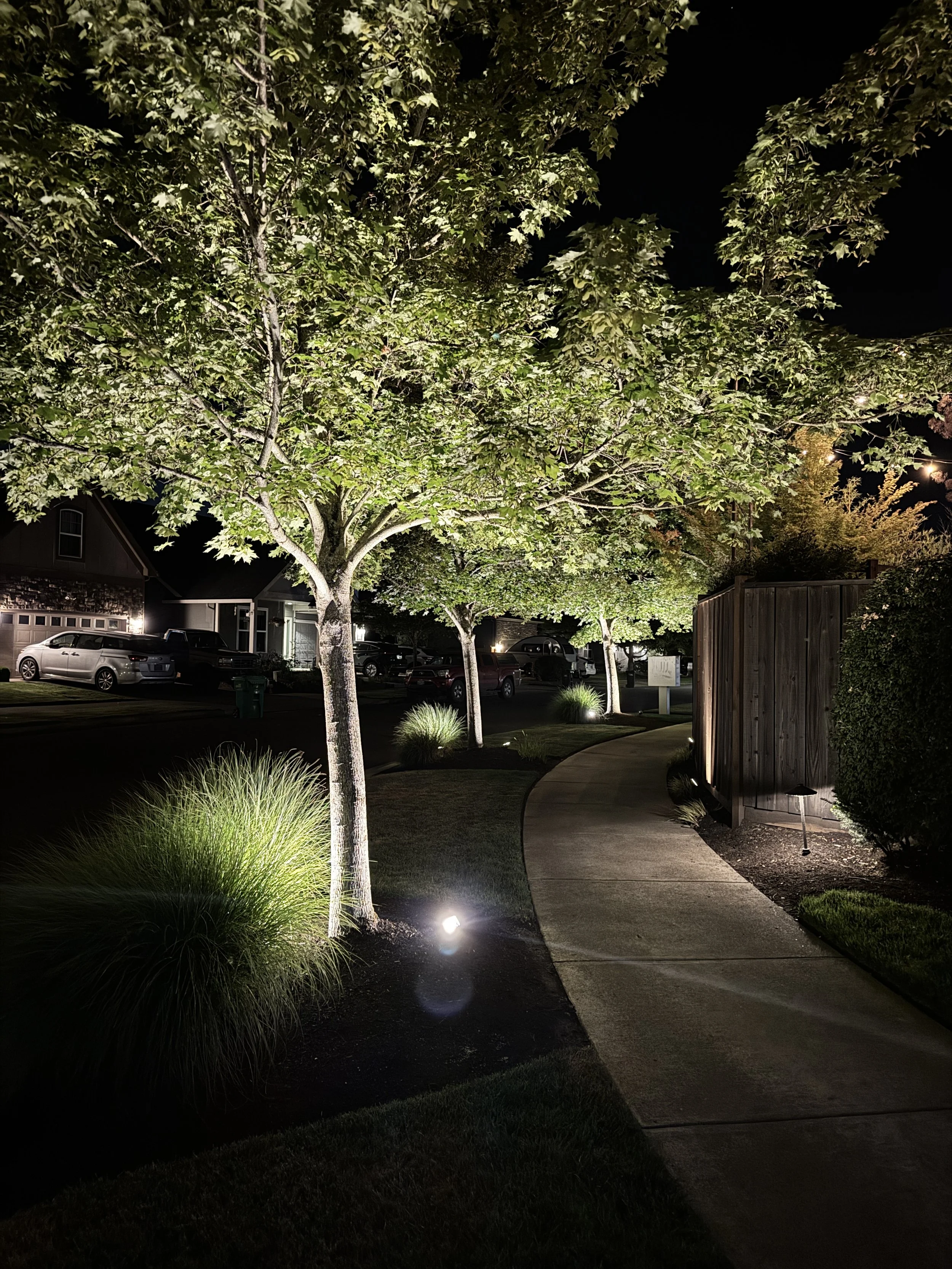 Nighttime view of a sidewalk lined with trees and grass illuminated by landscape lighting, with parked cars visible in the background.