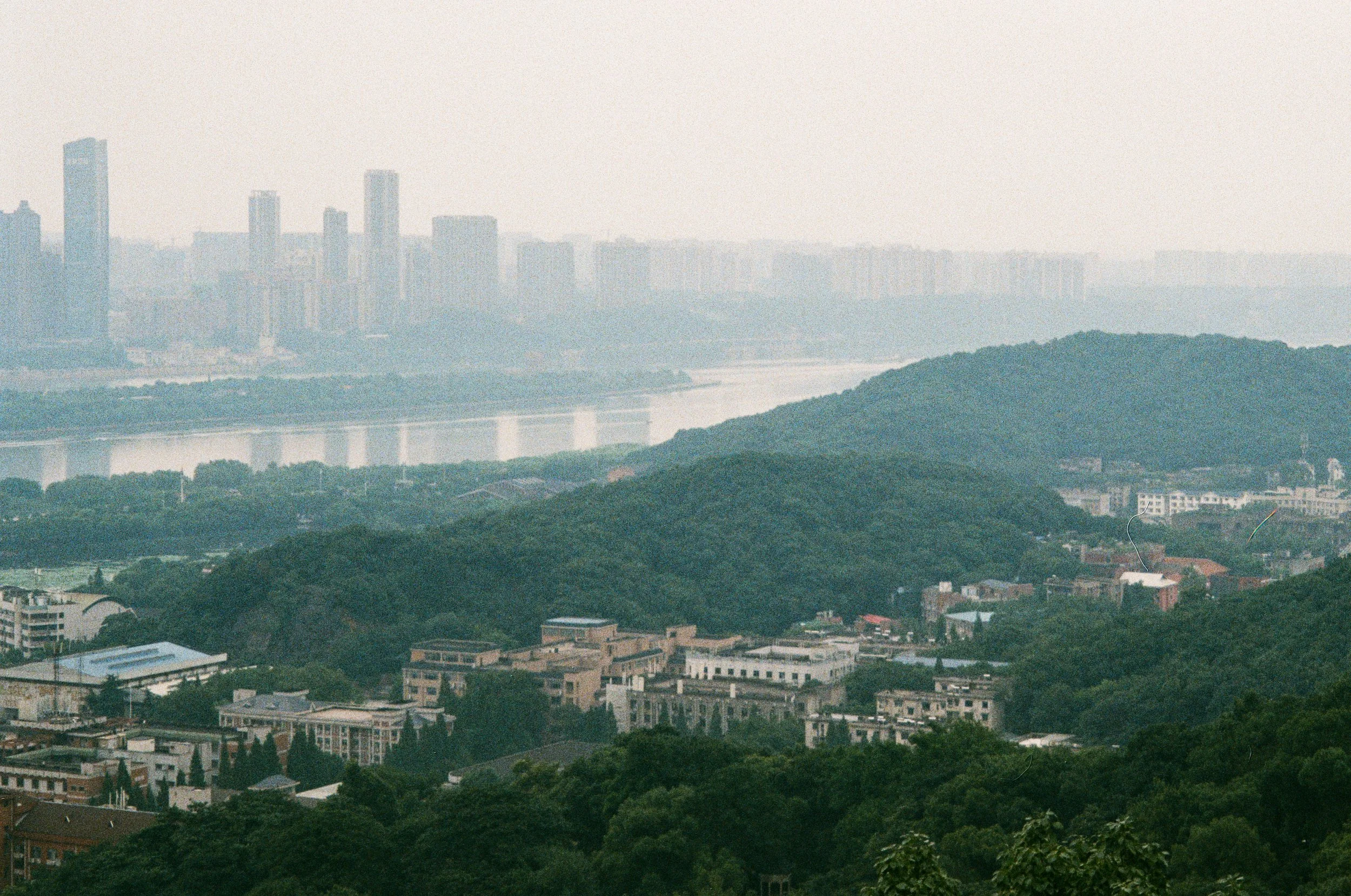 2020-low-5.jpg