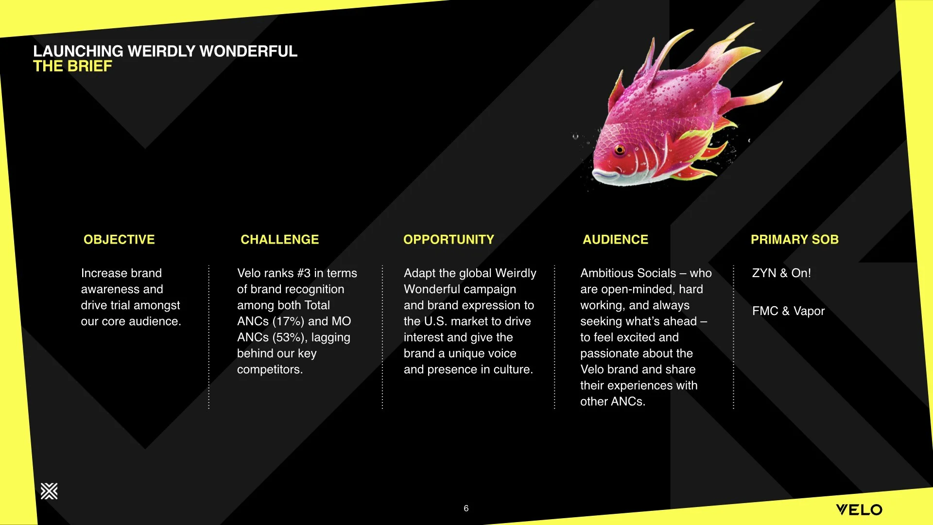 VELO GLOBAL NPB MTG_04_2024_BACKUP.001.jpeg