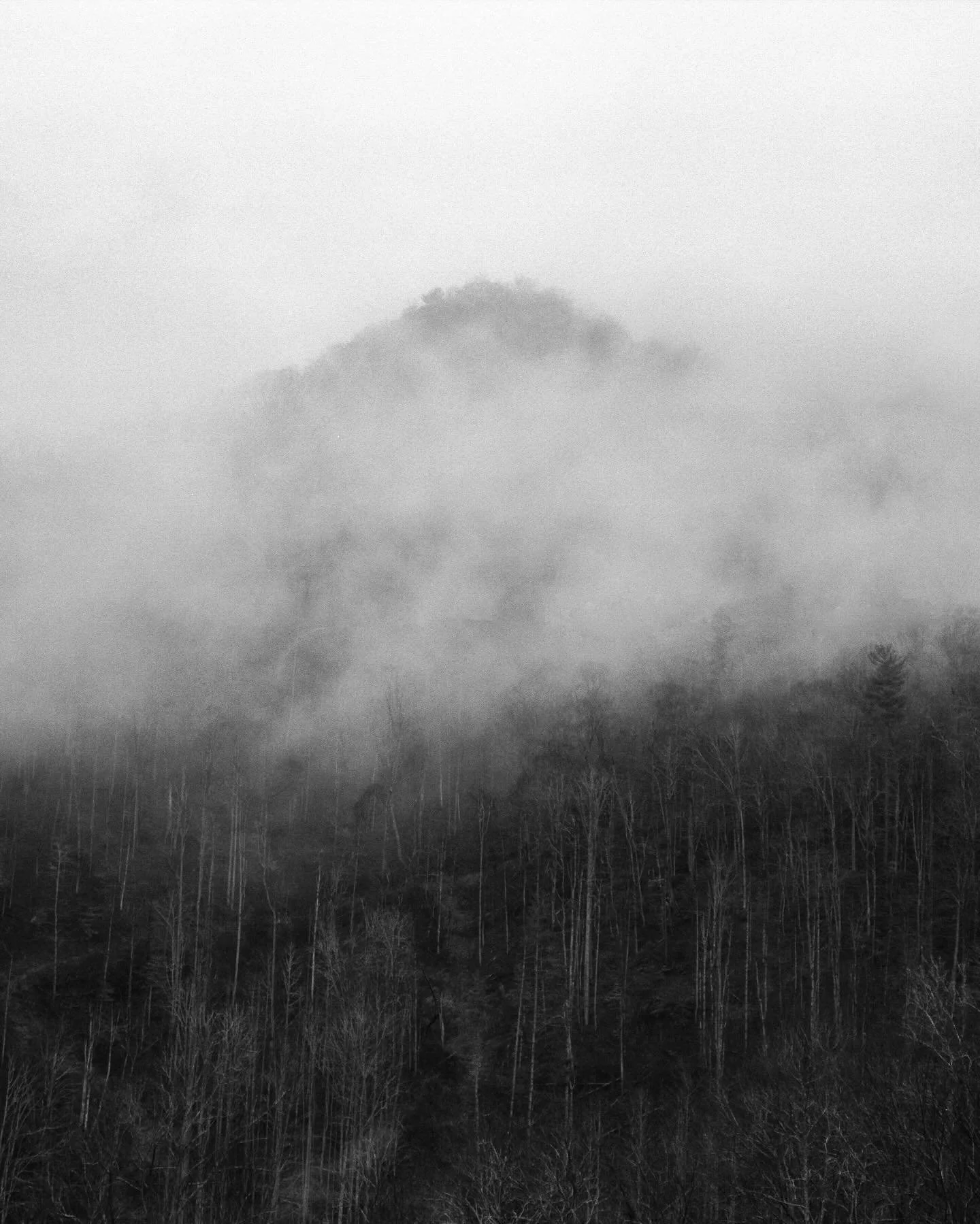 The seasonally appropriate (current) intro sequence to my book Wolf Branch, coming sometime later this year. These are all oldies at this point.