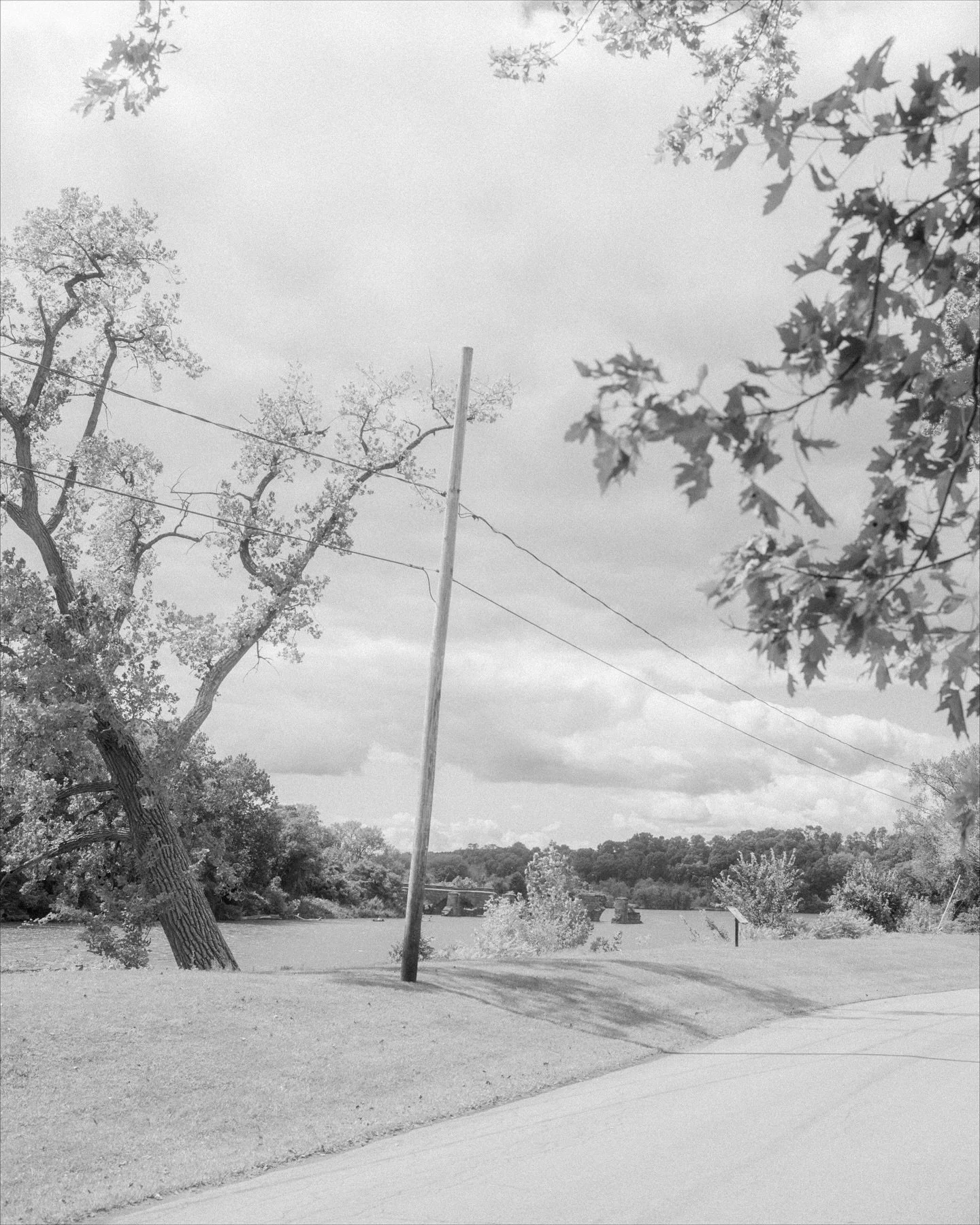A few more from my handmade one-off book, Smoky Mustard. Though the book was mostly just an exercise in binding and completing a project quickly, I think the sequence (not preserved here) has a simplicity and looseness that ended up suiting the image