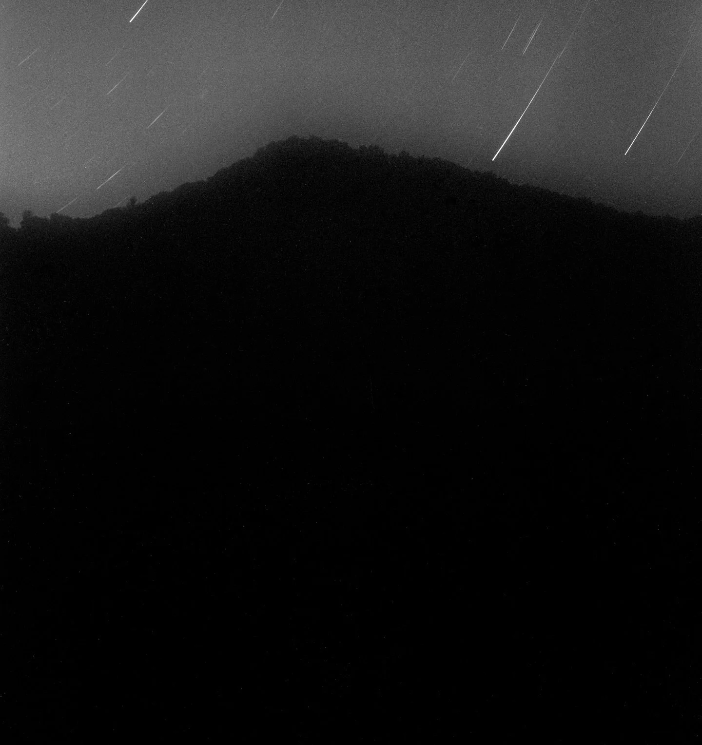 Mountain variations

from Wolf Branch