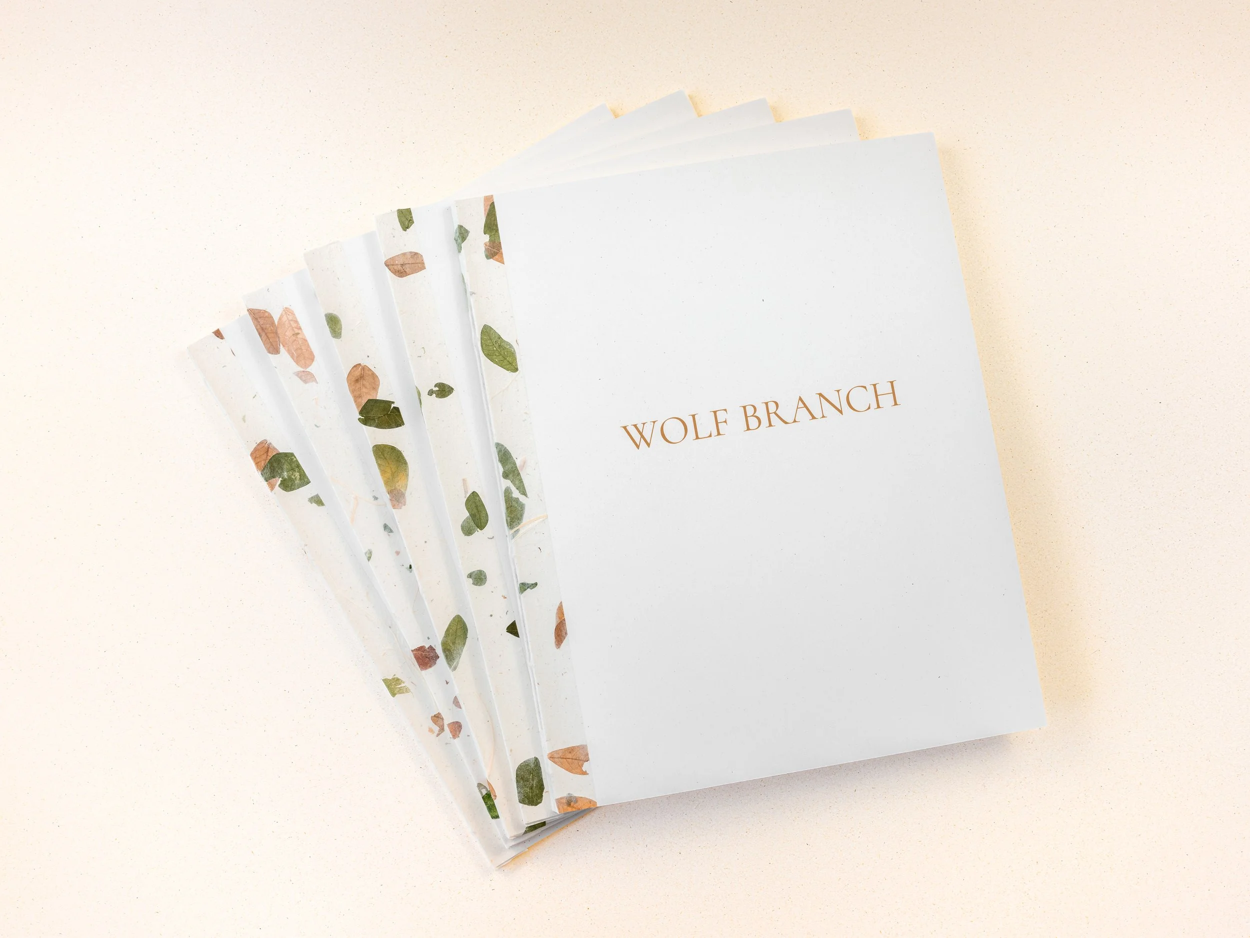 26_0913_WOLFBRANCH3270-3.jpg