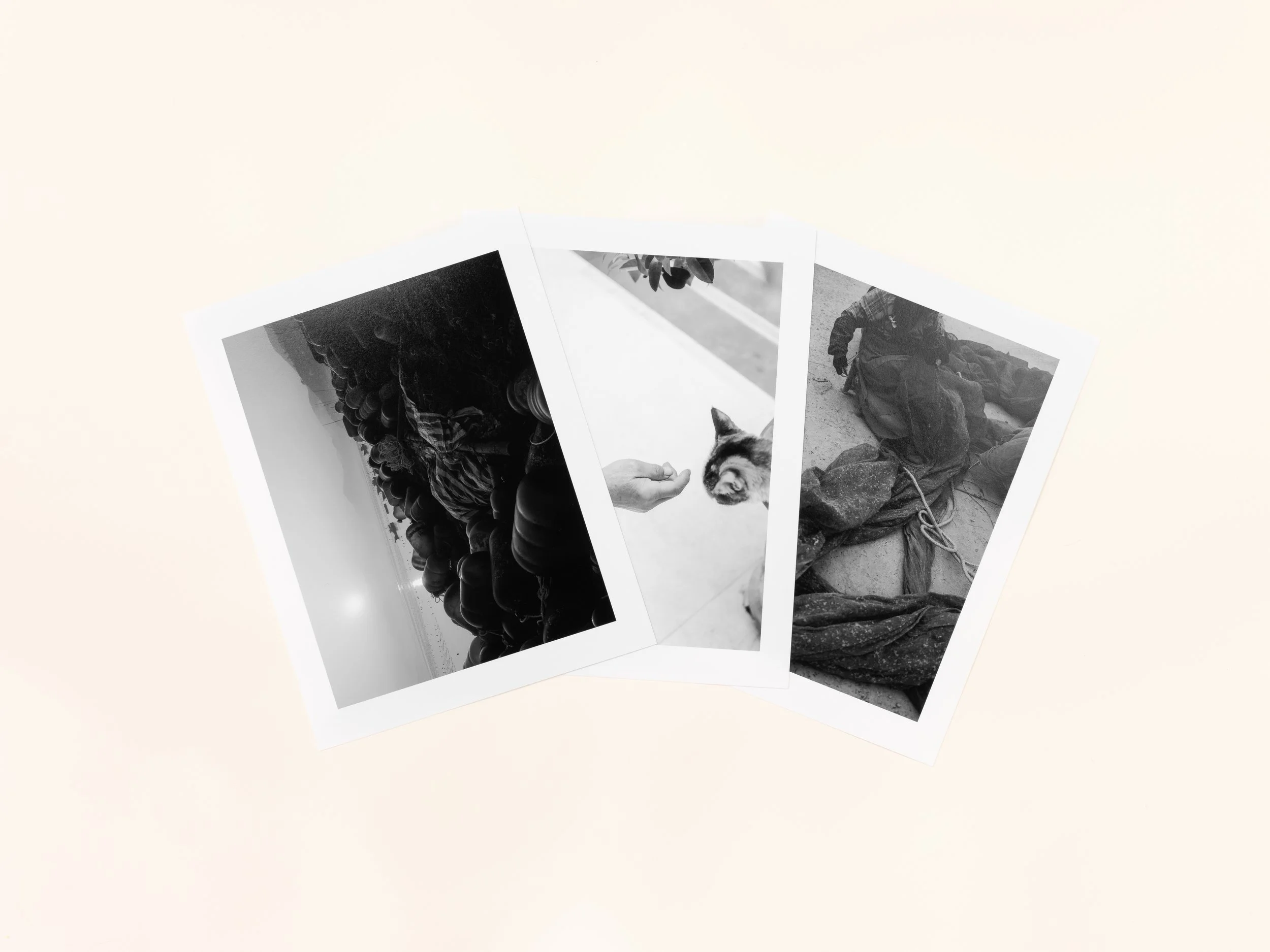 Vassal of the Sky - Print