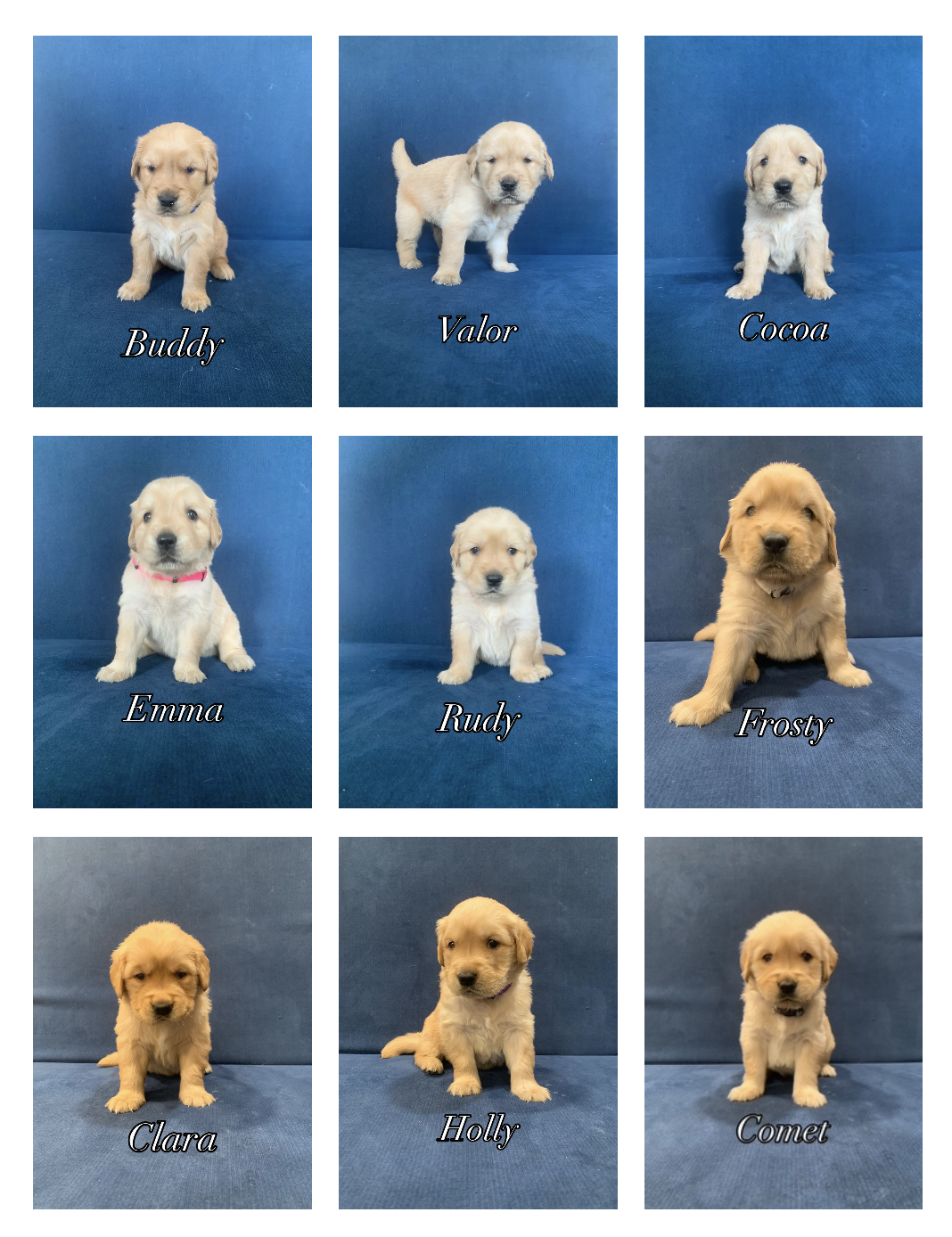 Screenshot 2026-01-19 at 6.49.18 PM.png