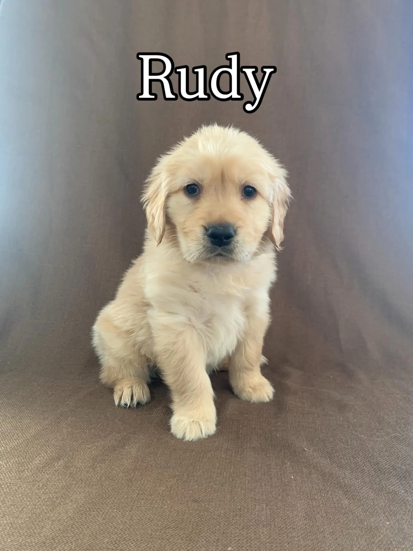 Five &amp; Six Weeks Old