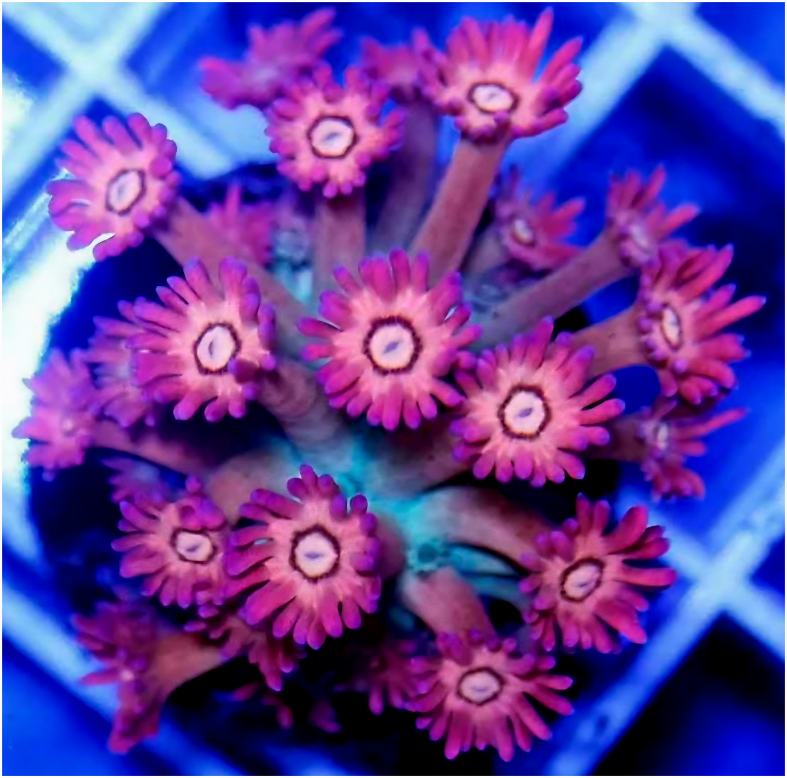 IMG_2003 (2).png