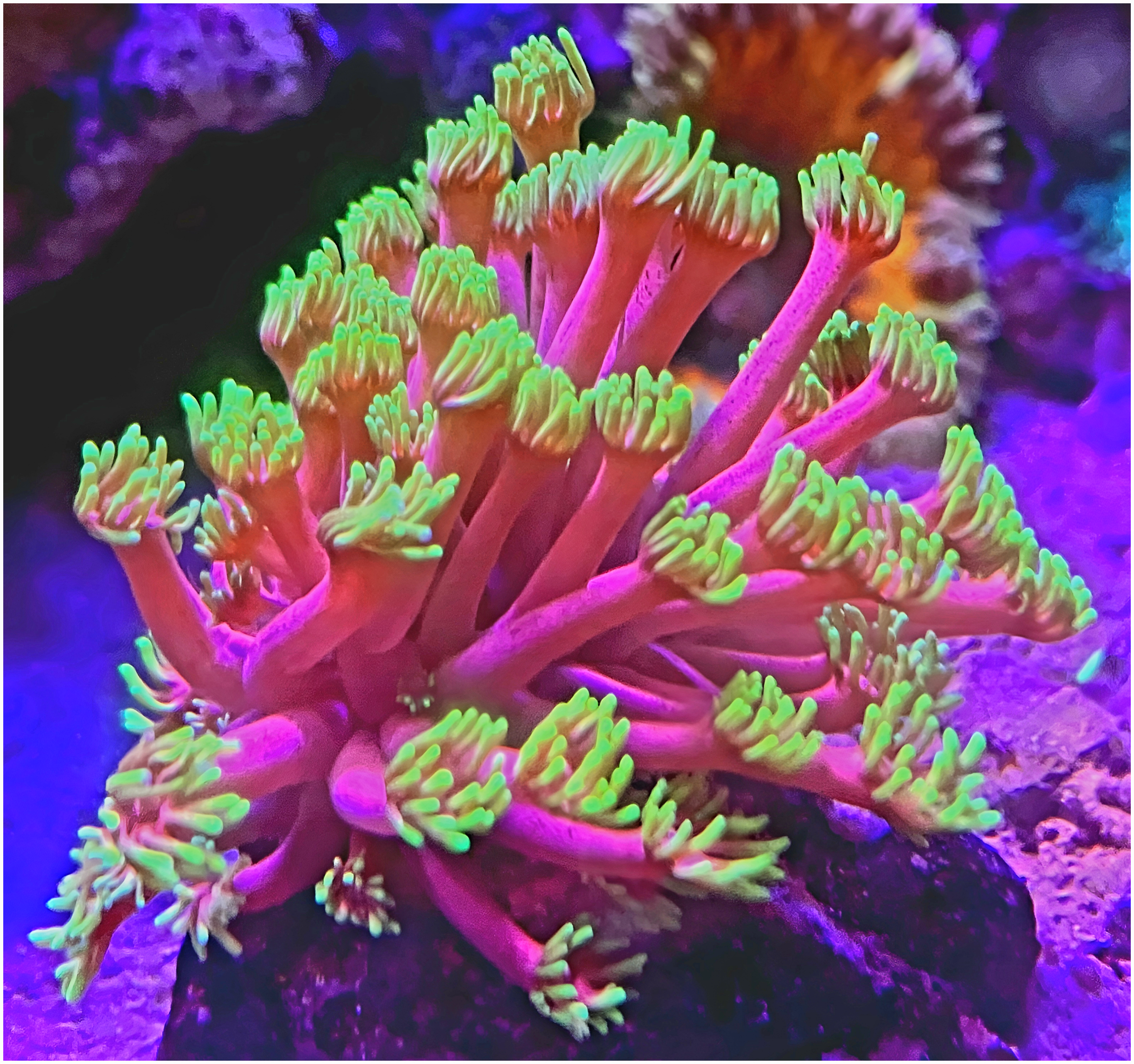 2025-10-24 04_54_42.321-0500 (2).png