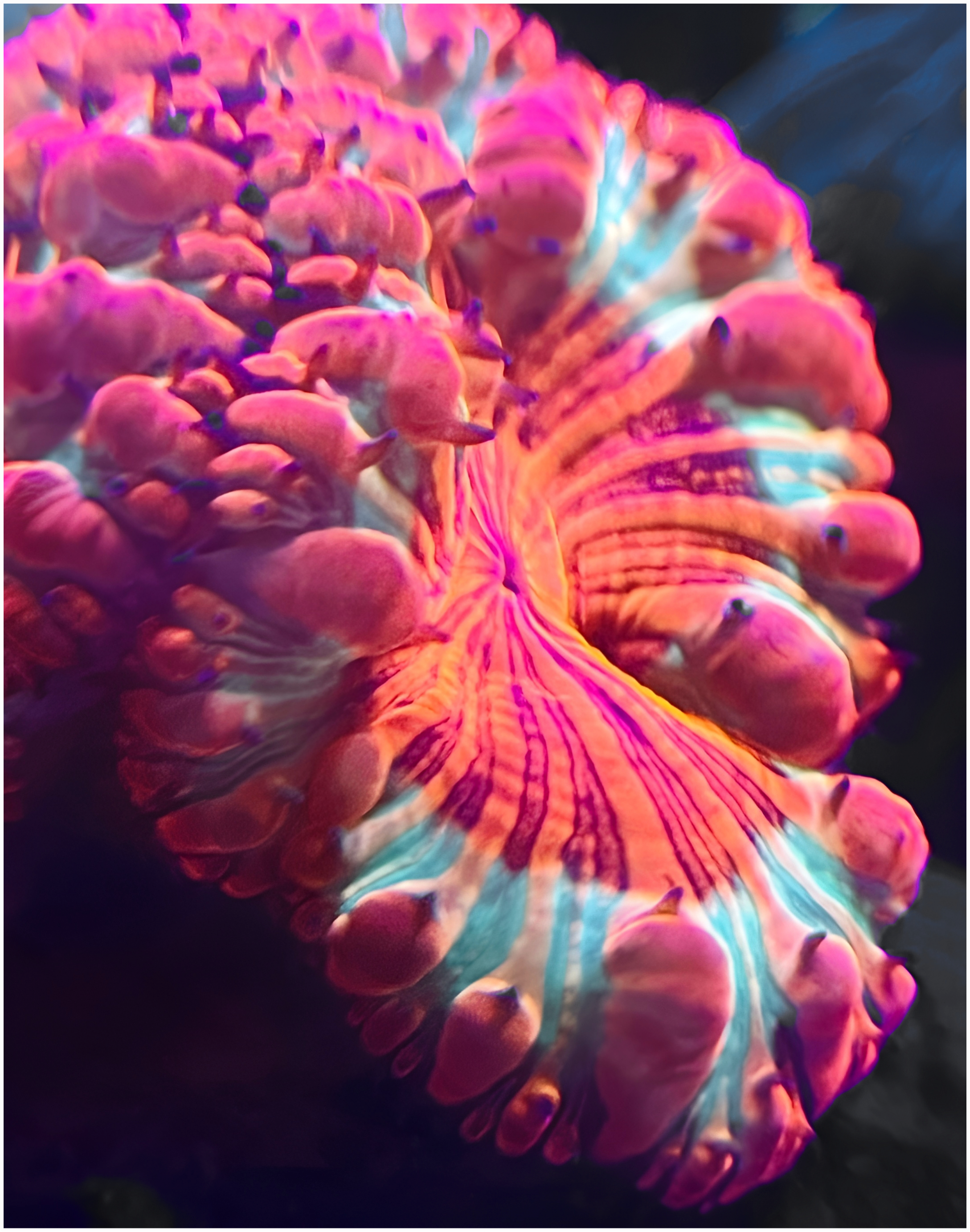 2025-11-14 14_02_09.110-0600.png