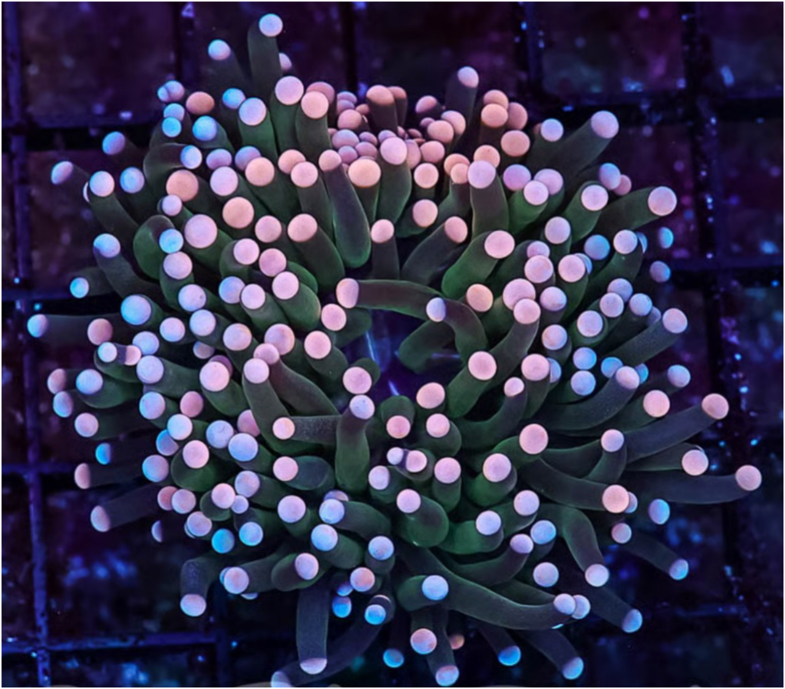IMG_1213 (4).png