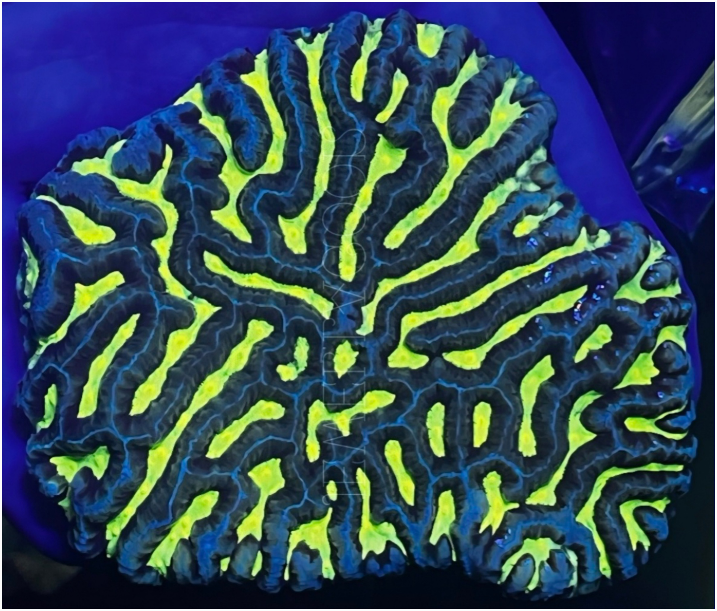 20260330_065614 (3).png