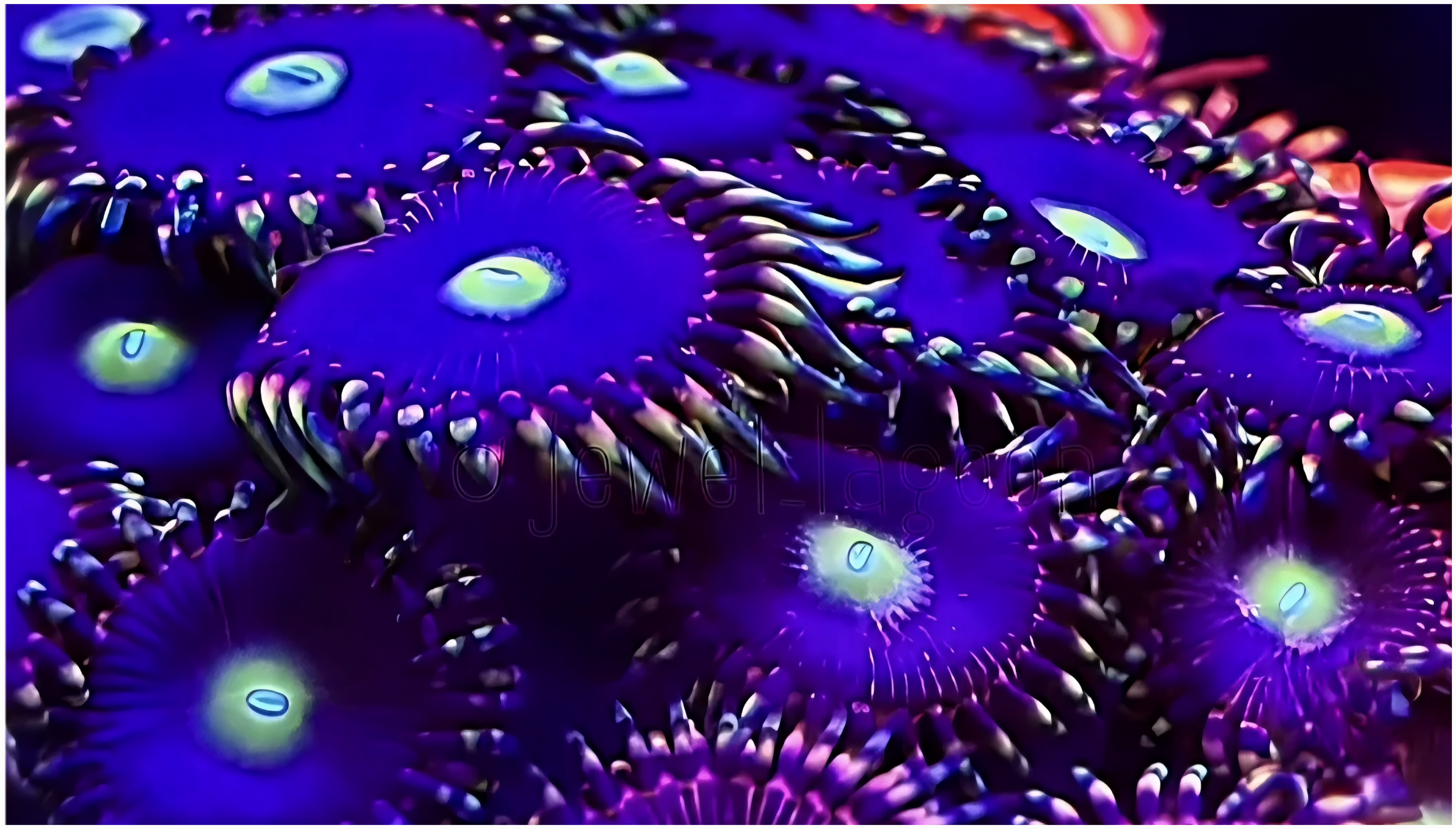 Screenshot_20251129_132701_Instagram.png