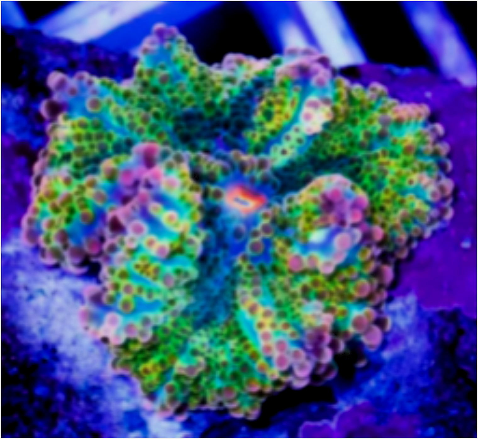 RT66+-+5858+-+NEON+RAINBOW+YUMA.PNG
