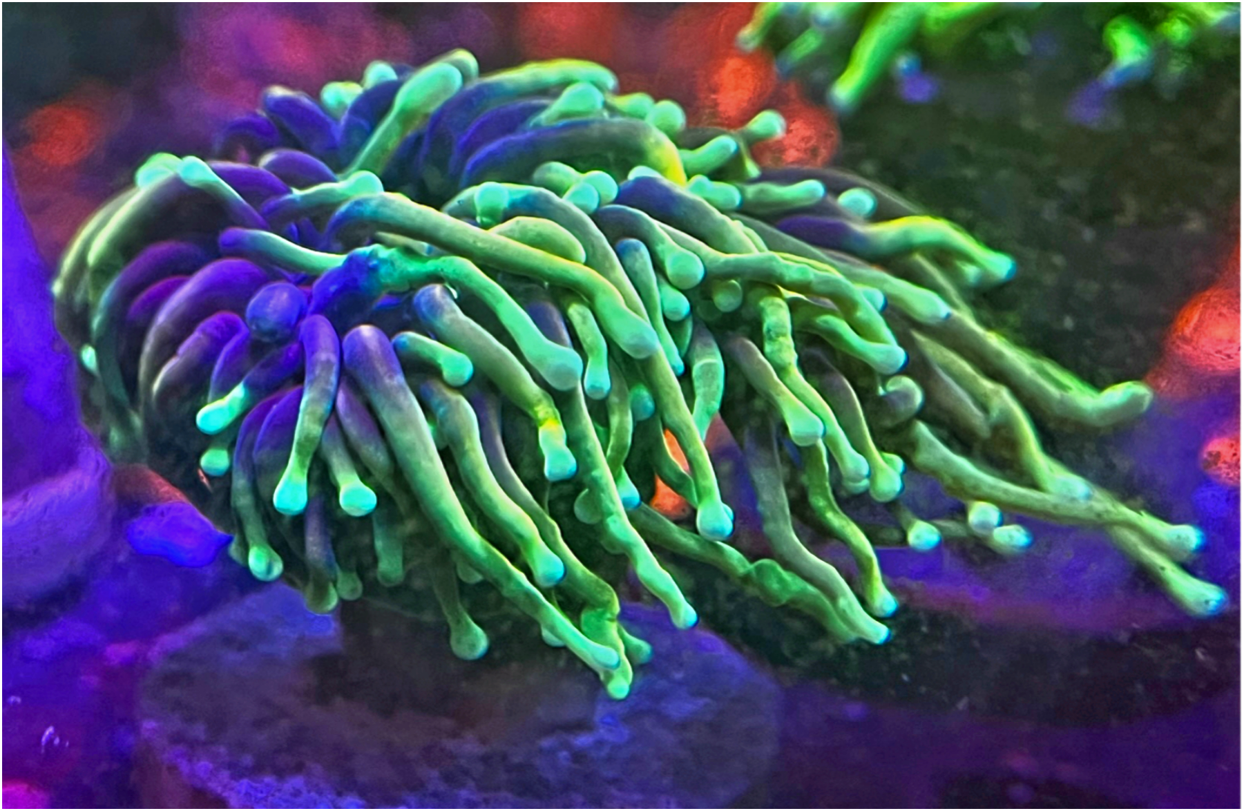 IMG_0029 (3).png