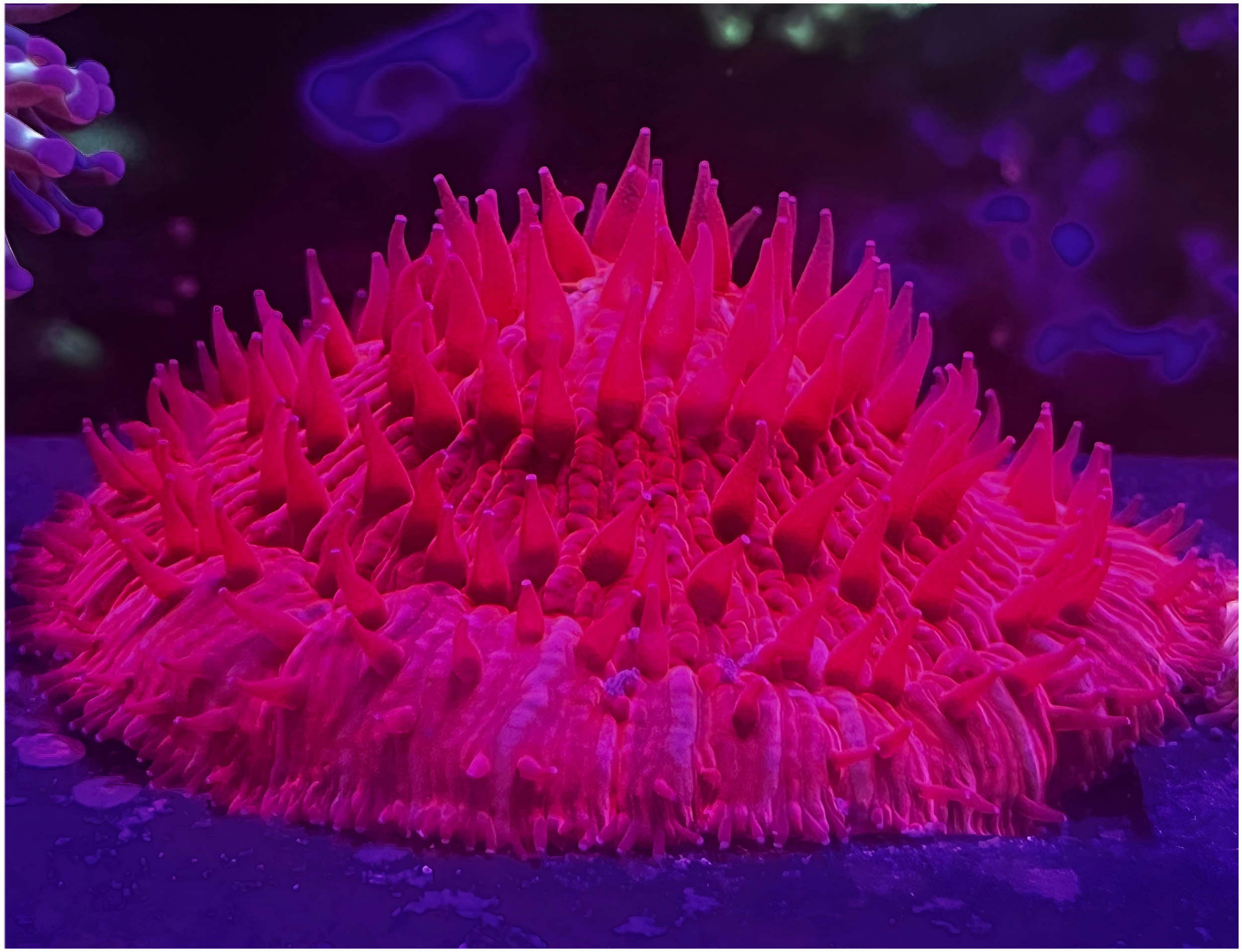 2025-10-27 05_05_29.768-0500 (1).png