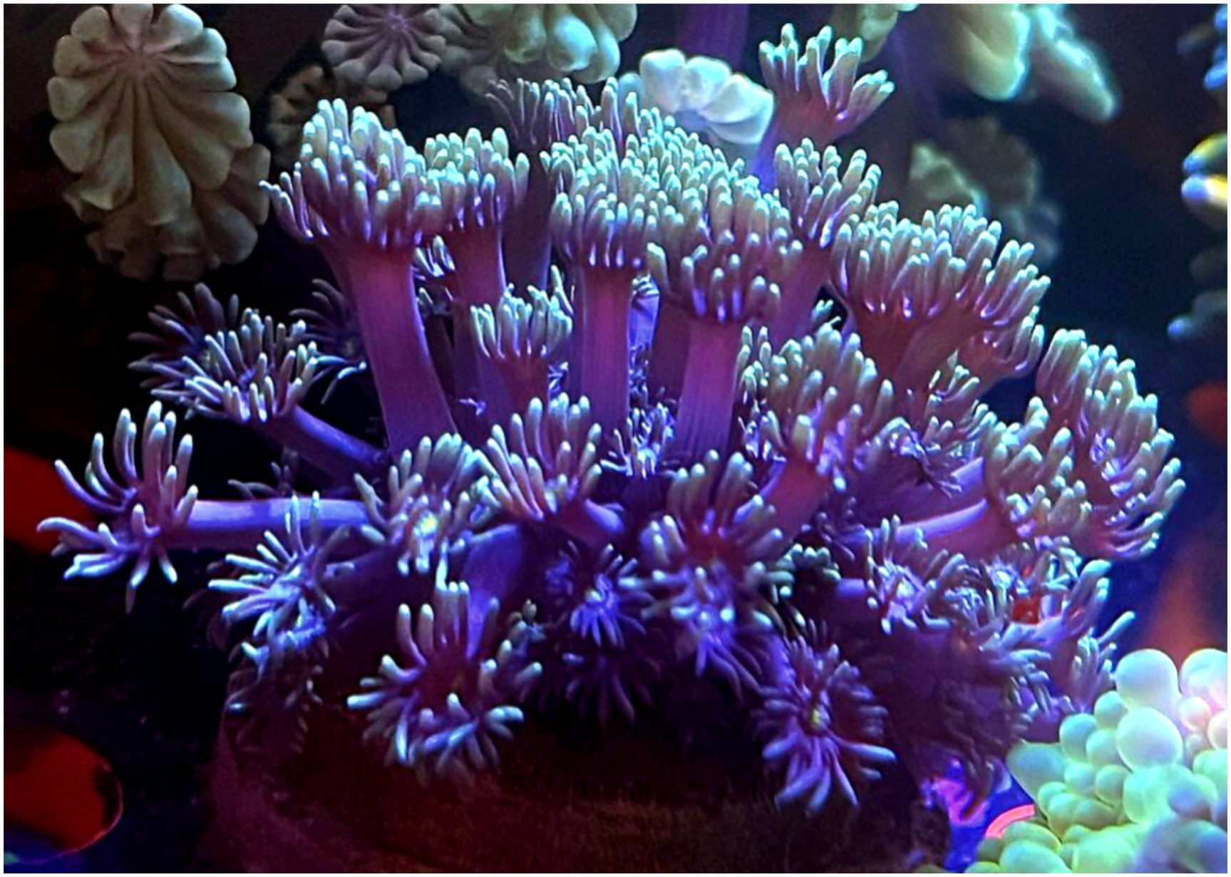 IMG_2039(1) (3).png