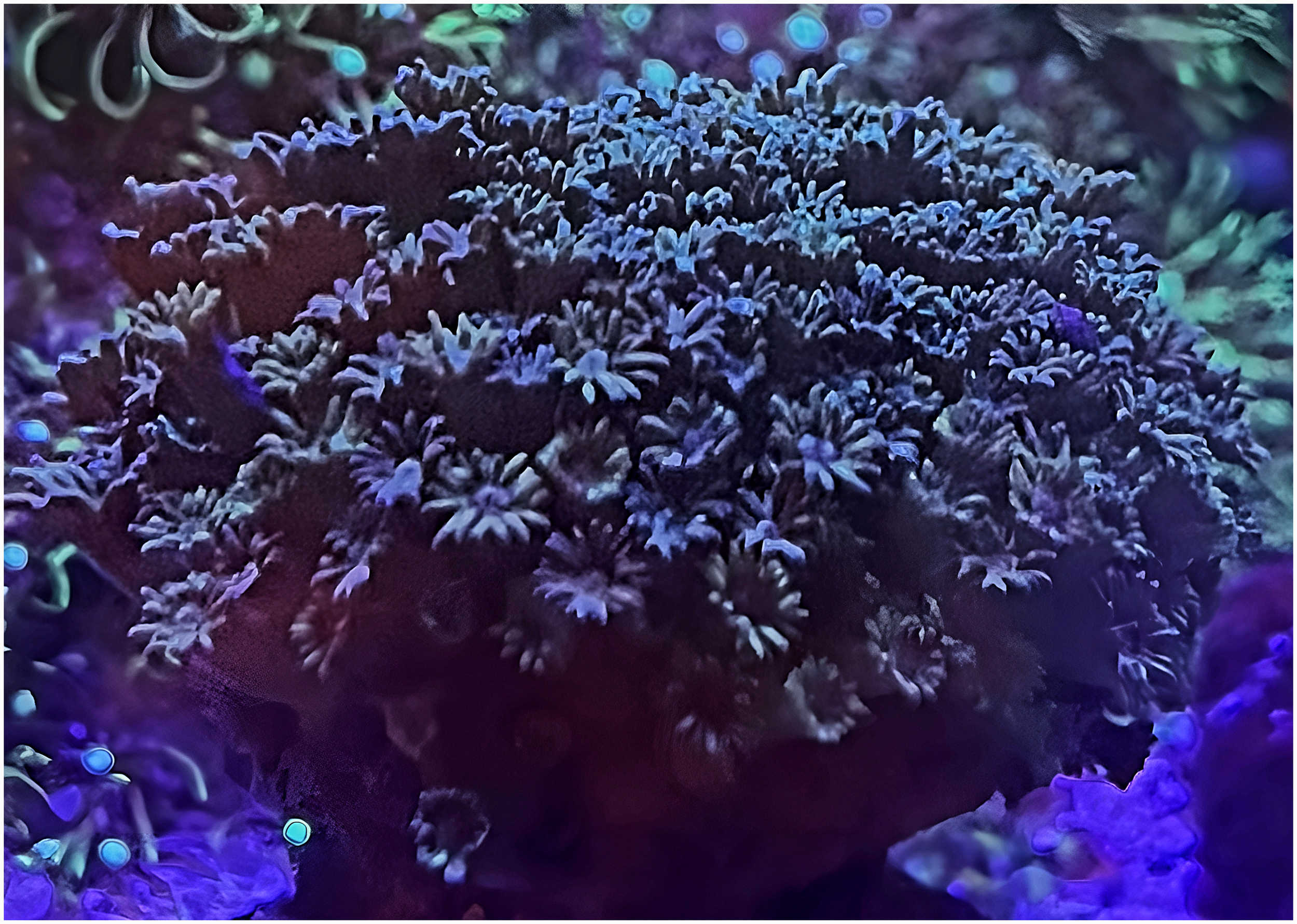 2025-10-24 05_05_47.514-0500 (1).png