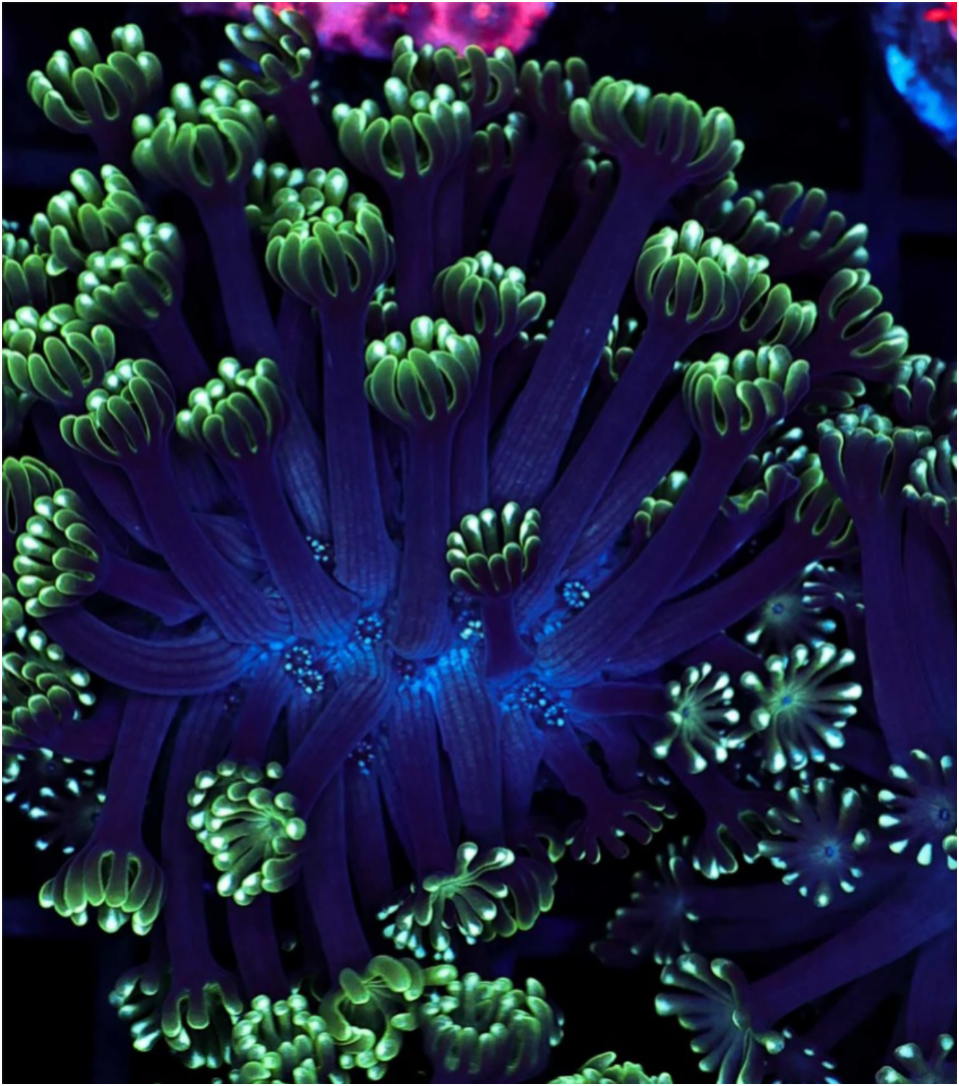 IMG_1211 (4).png