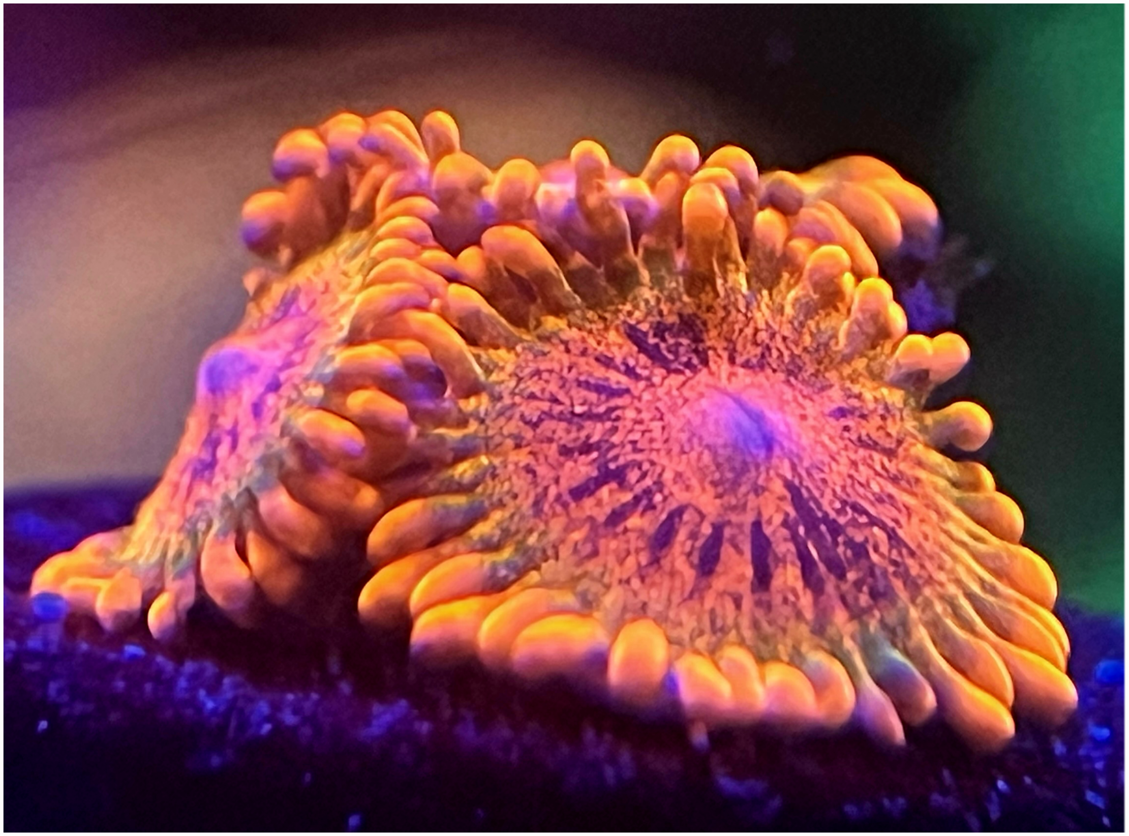 IMG_0124 (1).png