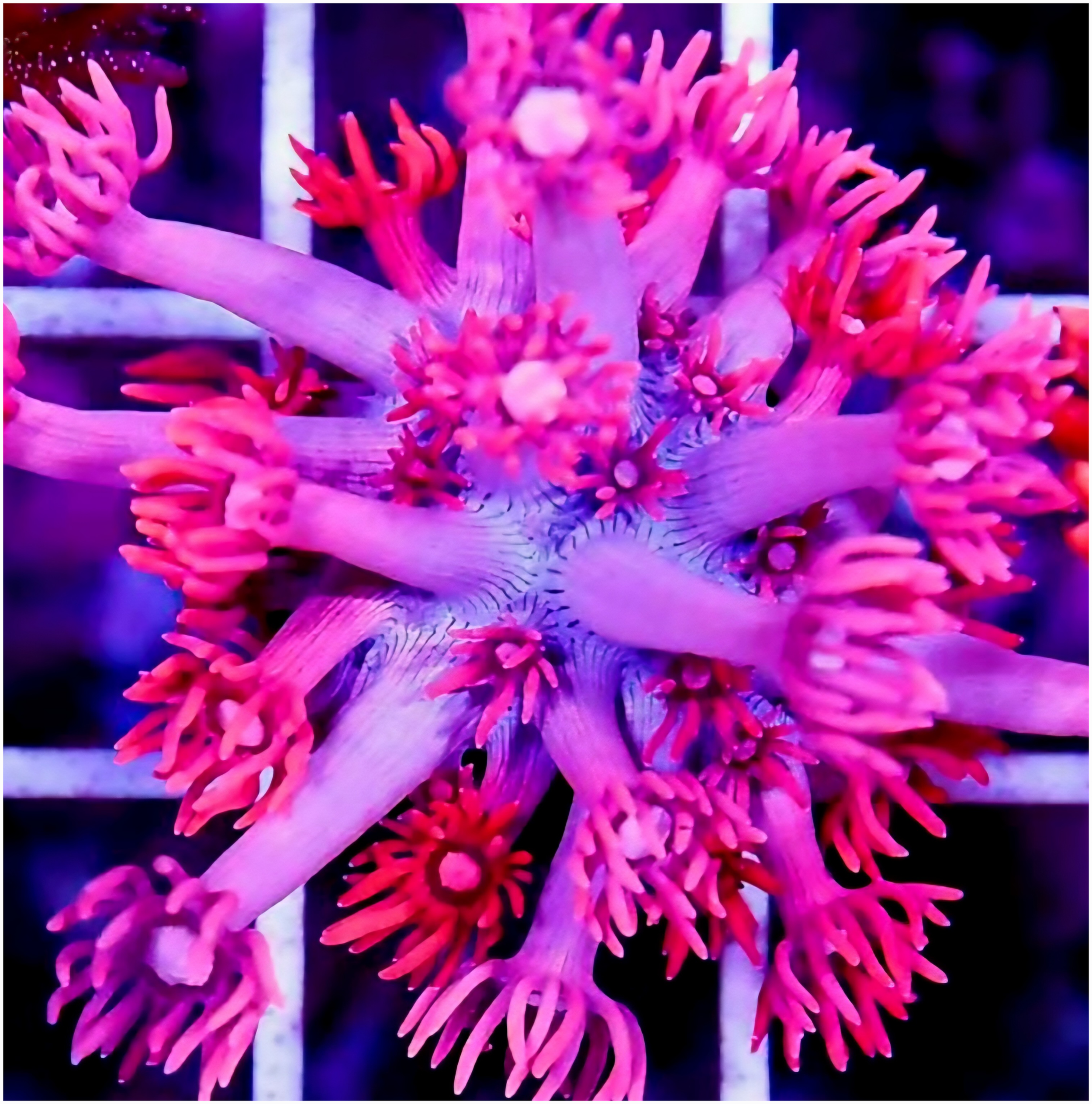 IMG_2002 (3).png