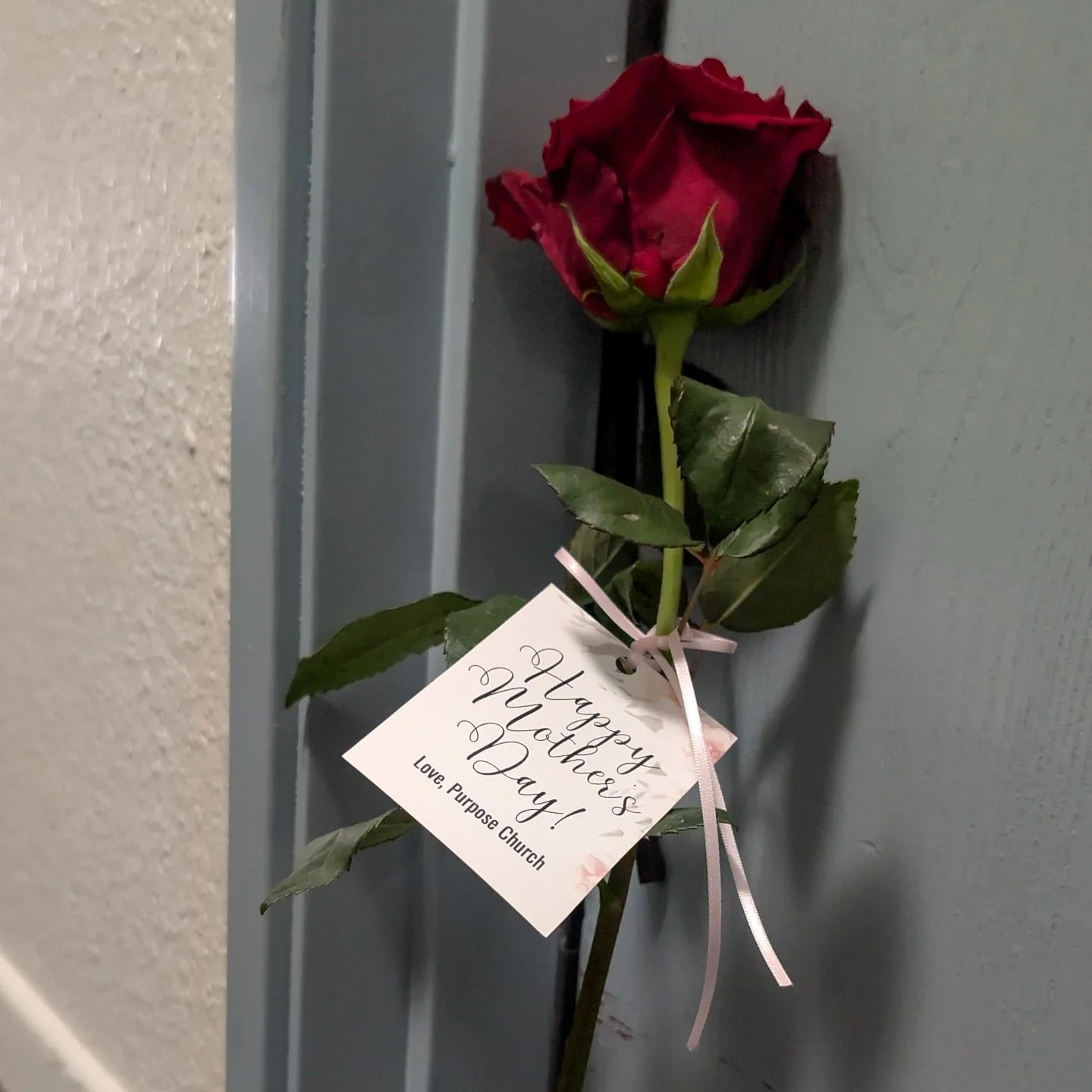 Across the street from our church is a senior living community, and we wanted to make sure no mom went unseen or unrecognized today.

So we brought 4 dozen flowers, mothers Day cards, and went door to door, celebrating every mom and grandma who has s