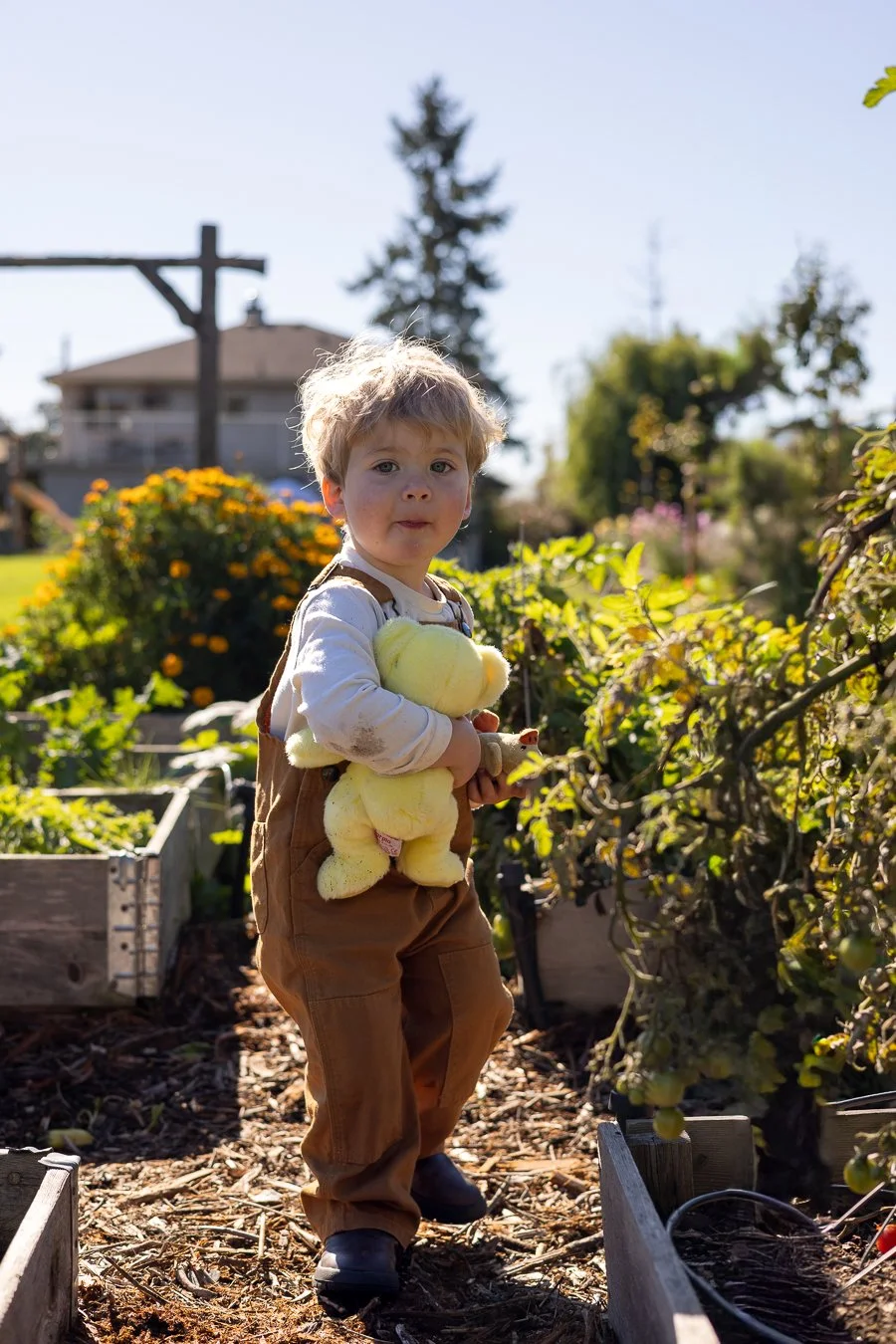 A young boy standing in a garden, holding a yellow stuffed duck toy, surrounded by plants and trees with a house in the background on a sunny day.