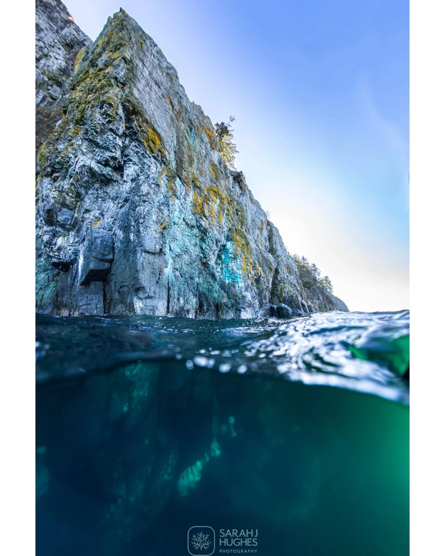 Last weekend I drove up Island to take my camera on a little underwater sojourn. We were blessed with sunny weather, which offered plenty of natural light in the shallows. Pictured here are two sites I freedove, the Copper Bluffs and a shallow wreck.