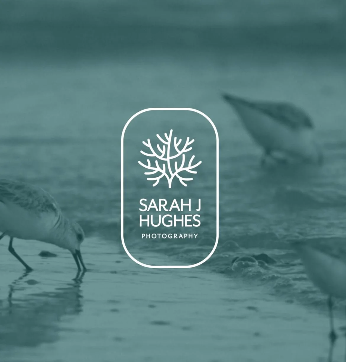 Website is live! 

Thank you so much to @begood.design for working so hard on bringing my website vision to life! I&rsquo;m so happy with how it turned out and proud to have worked with a women run and owned team here in the valley. 

Check it out in