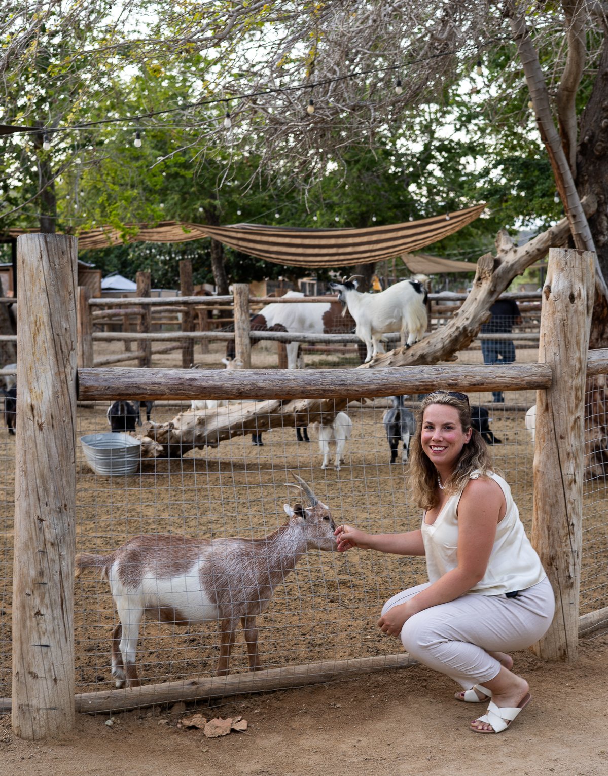 A woman, Sarah J Hughes, kneeling and smiling at a goat behind a wooden fence, with goats and other animals visible in the background.