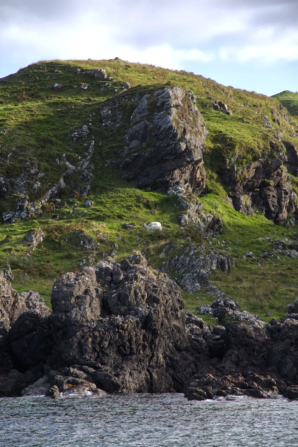 Coastal hillside with large rocks, green grass, and a white sheep near the water.