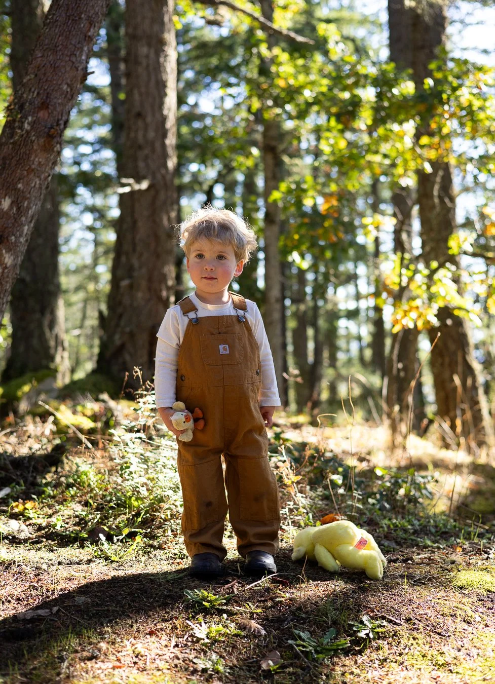 A young boy with blonde hair wearing brown overalls and a light shirt stands in a forest on a bright, sunny day. He is holding a stuffed animal and is next to a yellow plush duck on the ground.