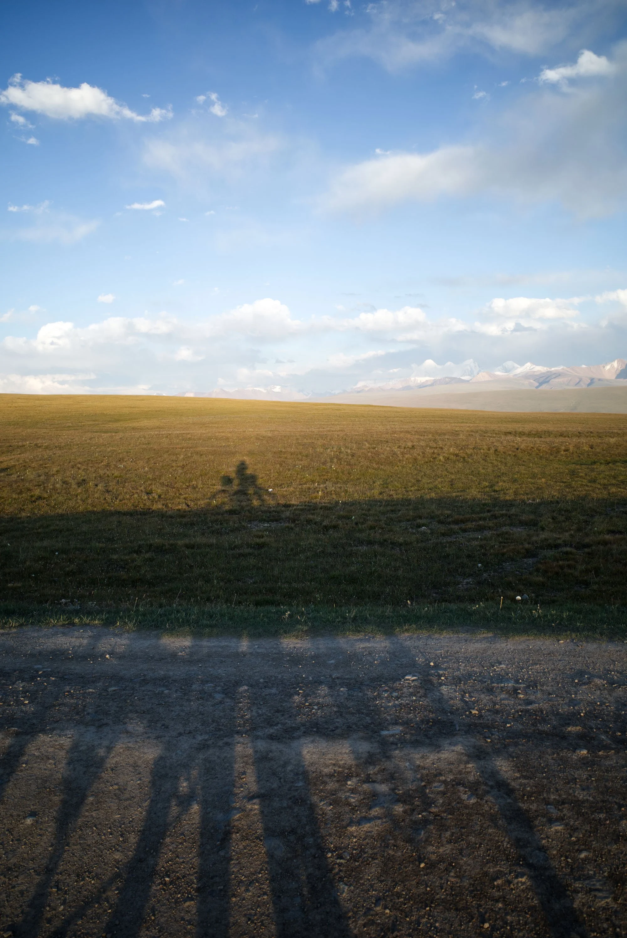 Open grassy plain with mountain range in the distance under a partly cloudy sky, with shadows of a nearby fence cast on the ground in the foreground.