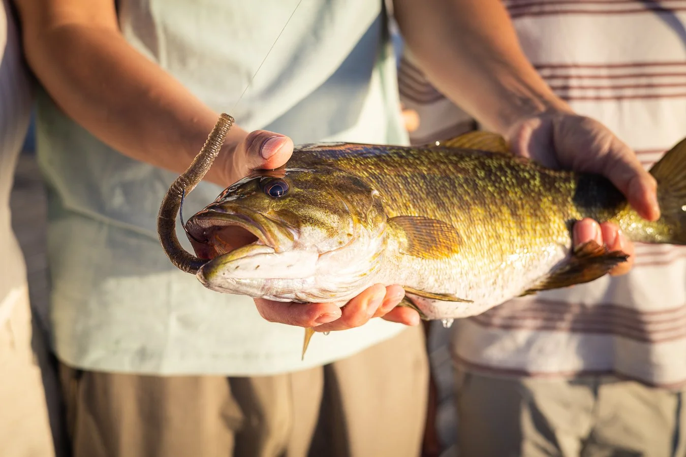 Person holding a large fish with a fishing hook in its mouth.