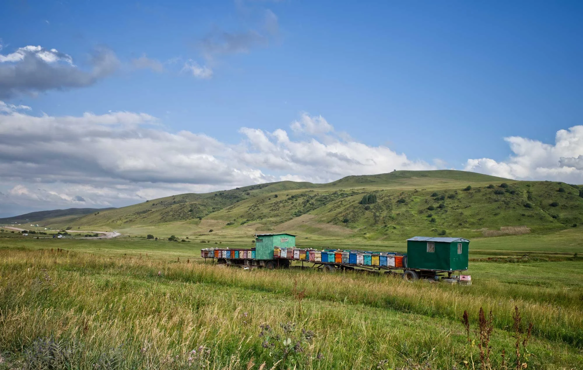 A green train car with numerous colorful beehives on a flat grassy field, with rolling green hills and a partly cloudy blue sky in the background.