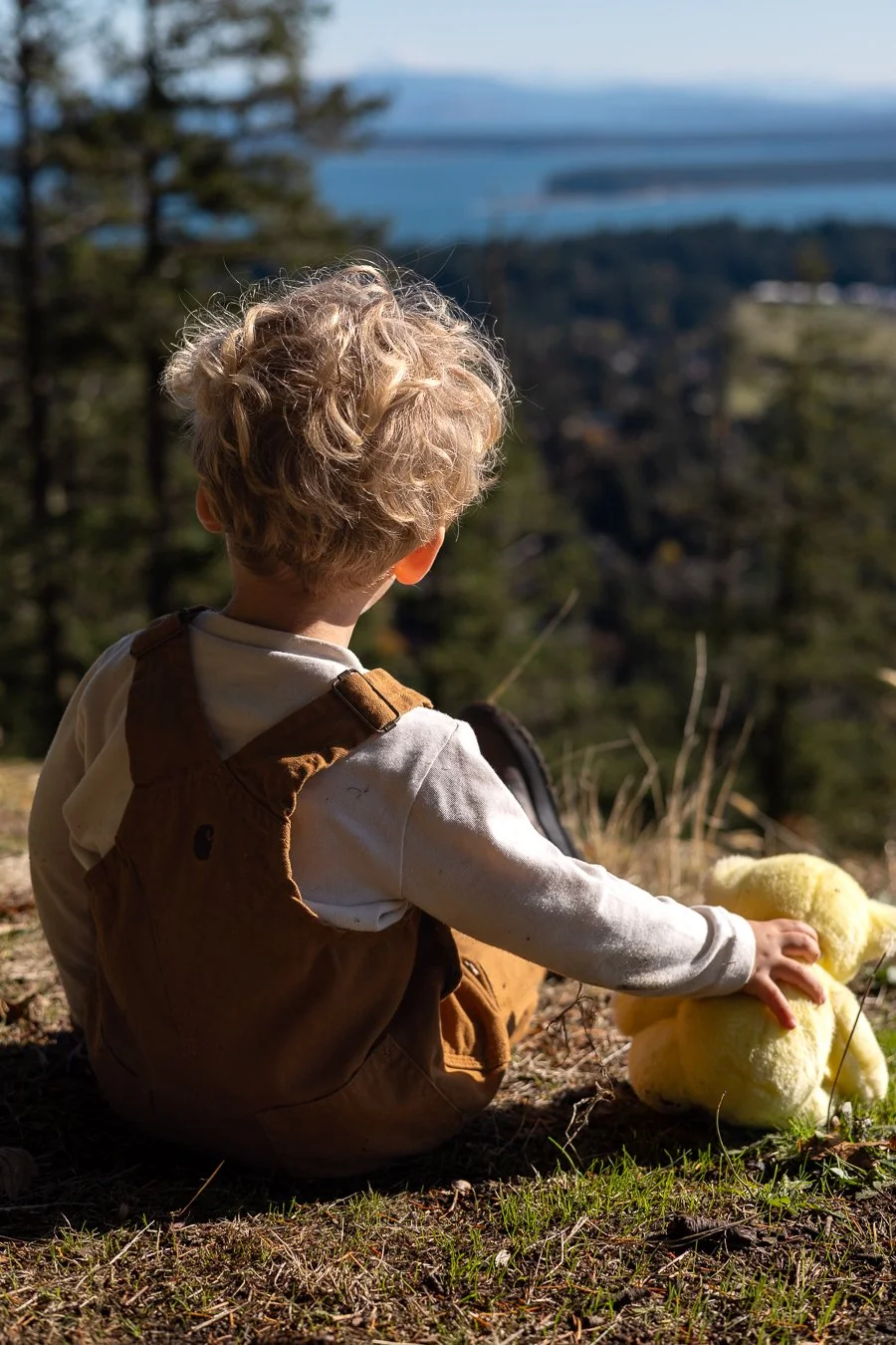 A young boy with curly blonde hair sits on the grass on a hillside, holding a yellow stuffed animal, looking out over a landscape with trees and water in the distance.