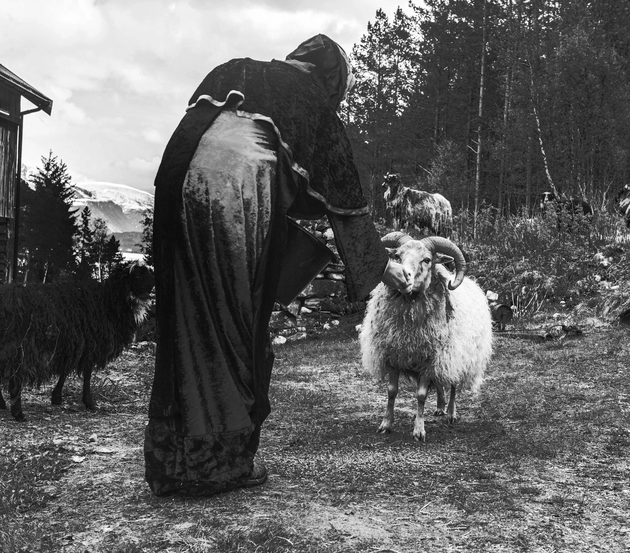 Viral Marketing: The Great Deception