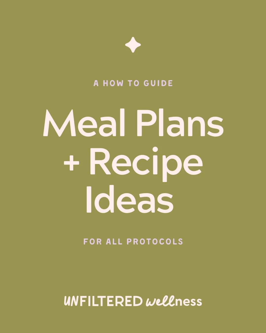 A How to Guide: Meal Plans + Recipe Ideas for all Protocols