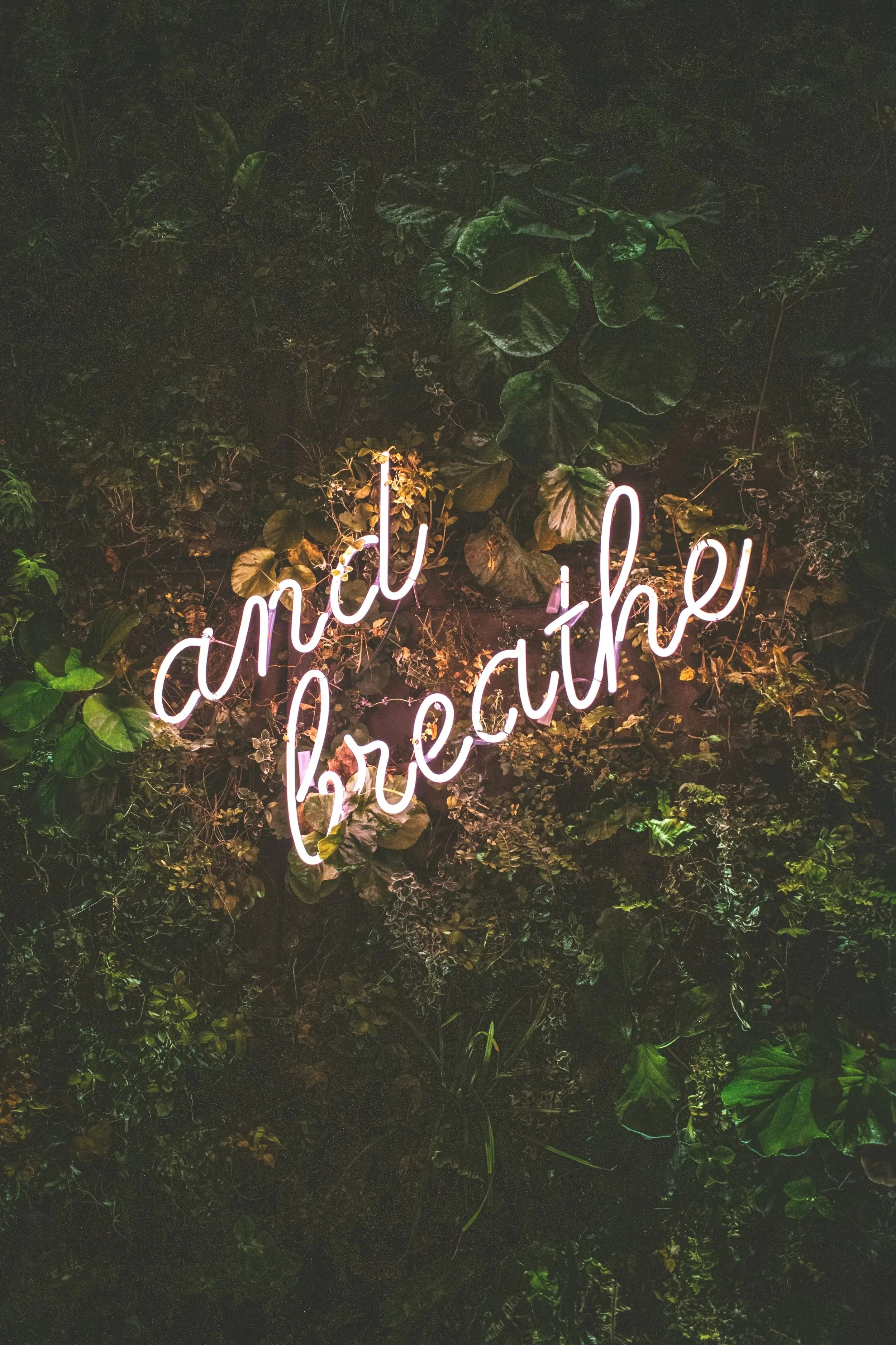 Neon sign that says 'and breathe' against a dark green leafy wall.