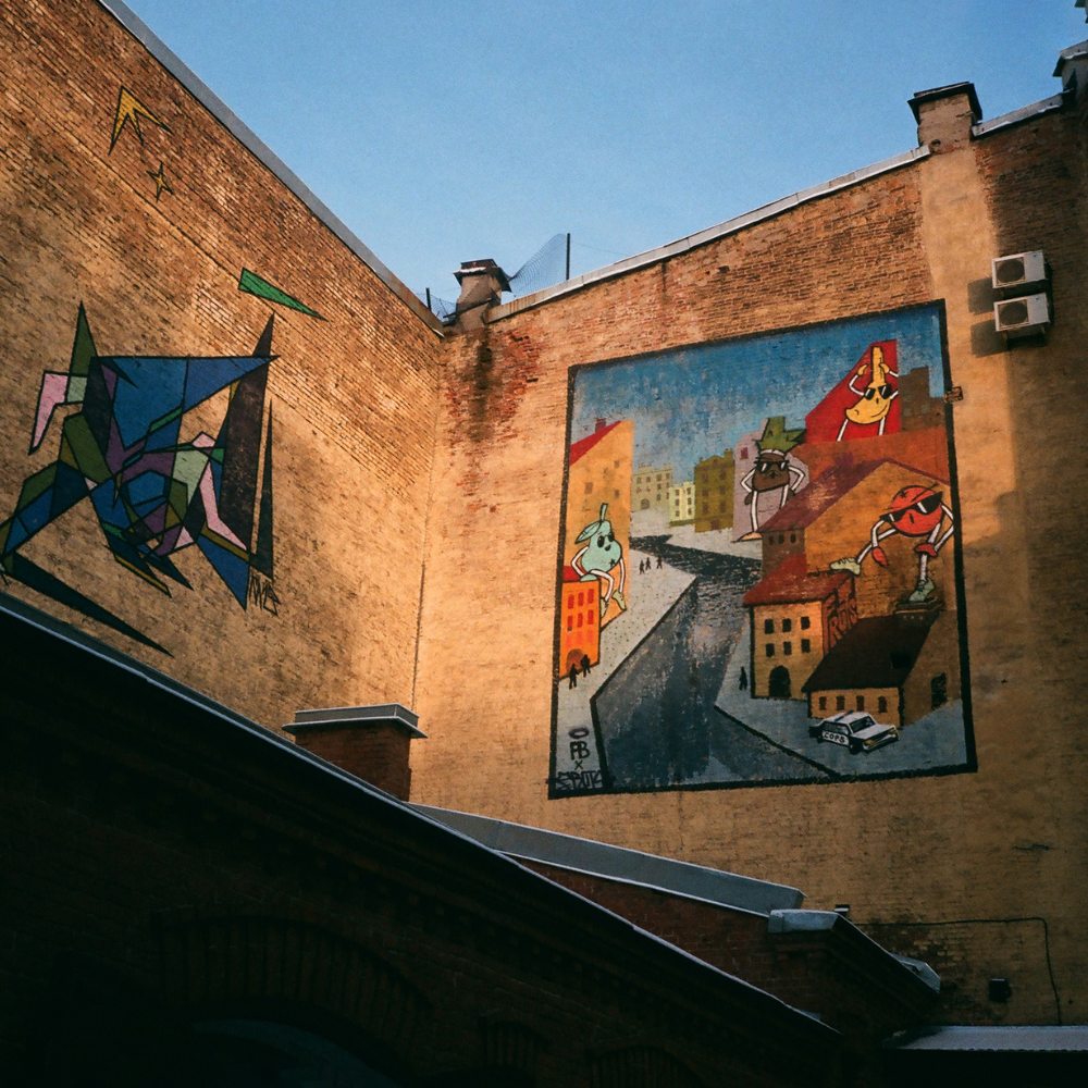 safa 1000 by 1000 image (11).png