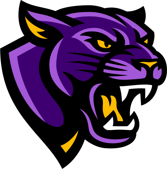 Graphic illustration of a fierce-looking panther's head with purple, black, and yellow colors, snarling with bared teeth.